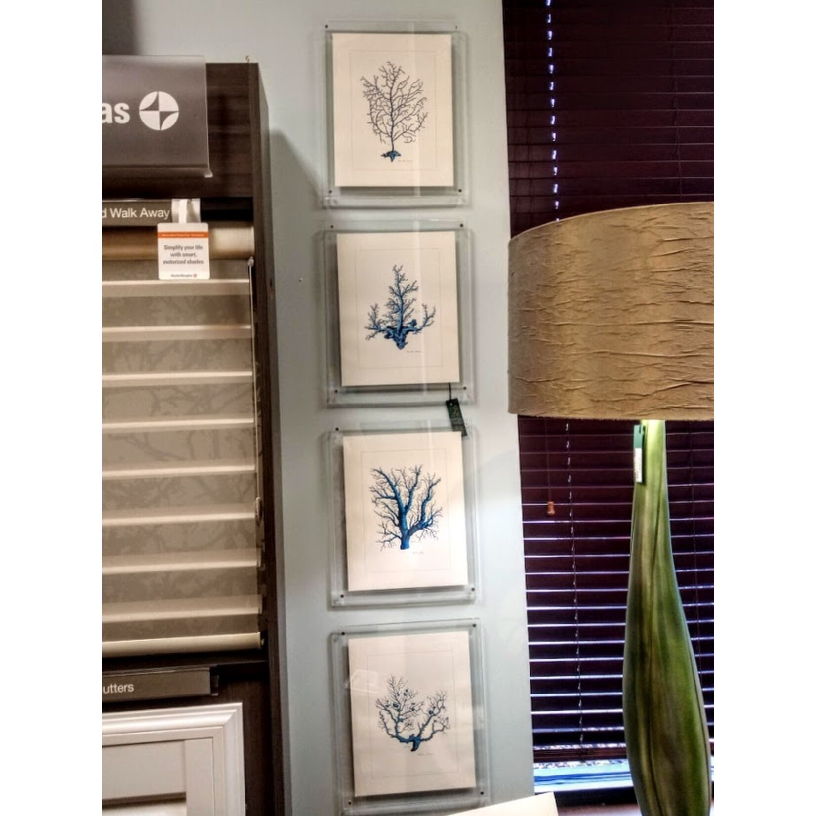 Two's Company Coral Wall Art Set of 4