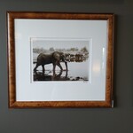 Trowbridge Gallery Elephant In Water Framed Art Print