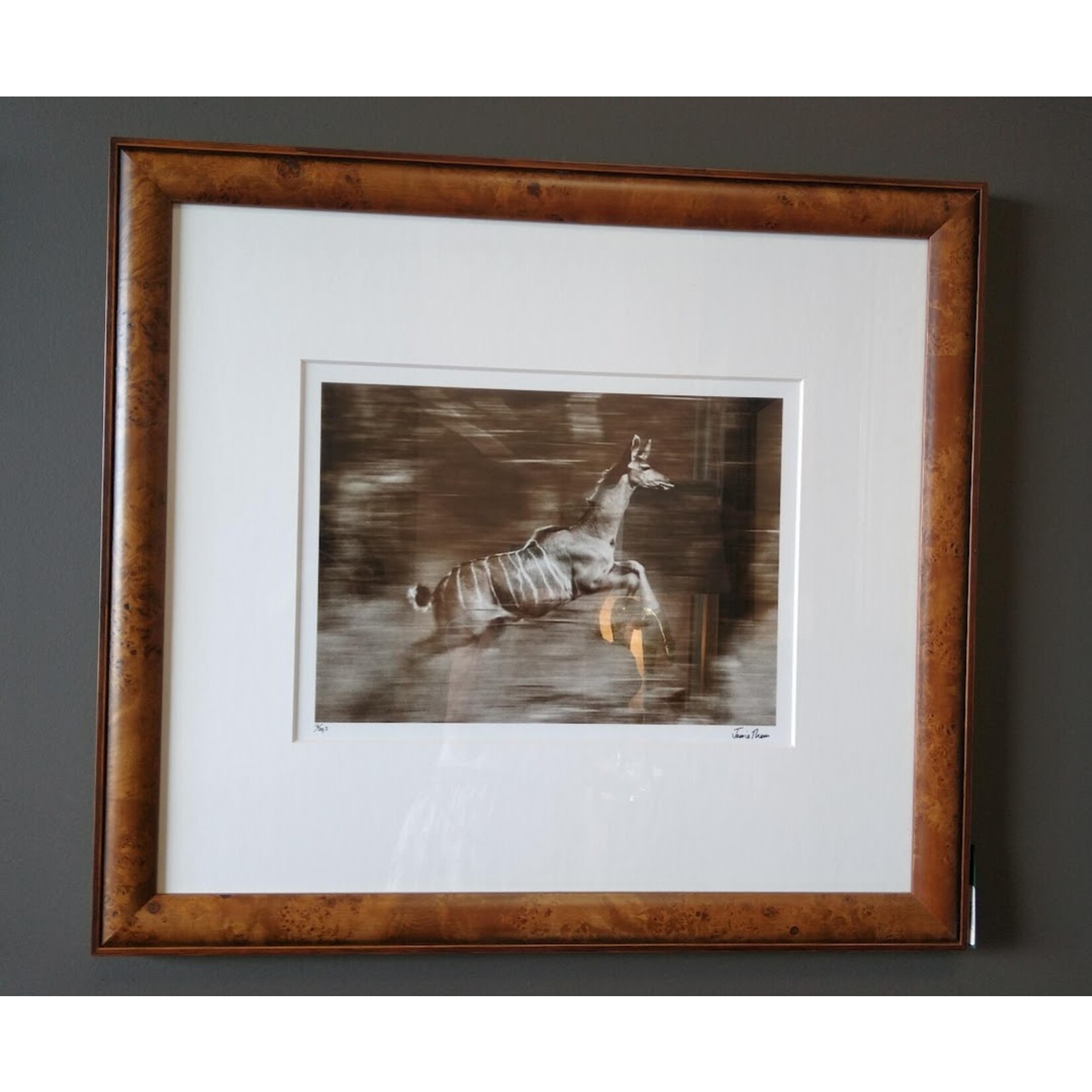 Trowbridge Gallery African Deer Framed Art Print