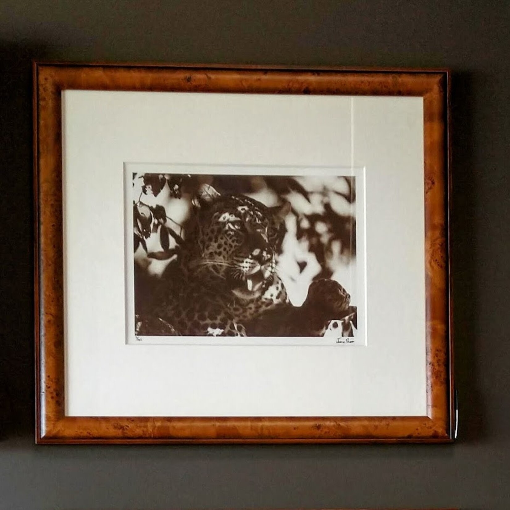 Trowbridge Gallery Jaguar Framed Art Print