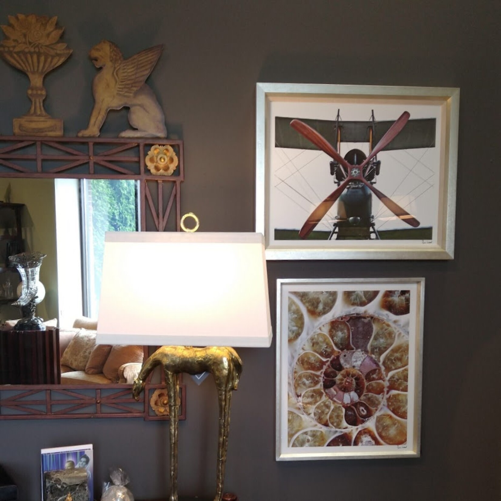 Trowbridge Gallery Ammonite Collection Framed Artwork