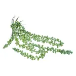 Winward Floral & Seasonal Decor String of Pearls 27" Pick Green