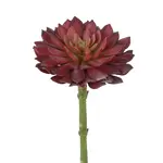 Winward Home Artificial Burgundy Graptosedum Succulent Pick 8"