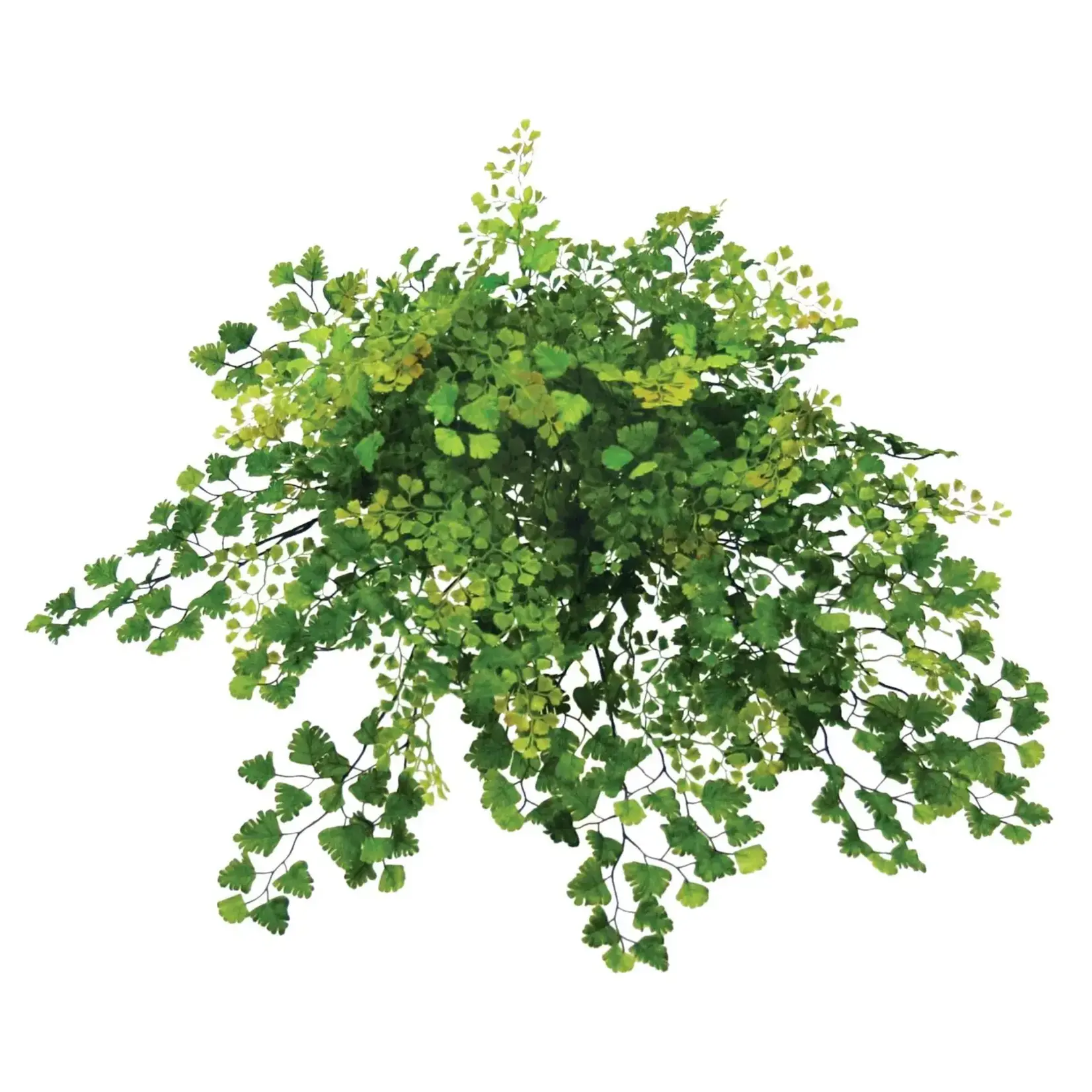 Winward Floral & Seasonal Decor Artificial Maidenhair Fern Large Bush 18"