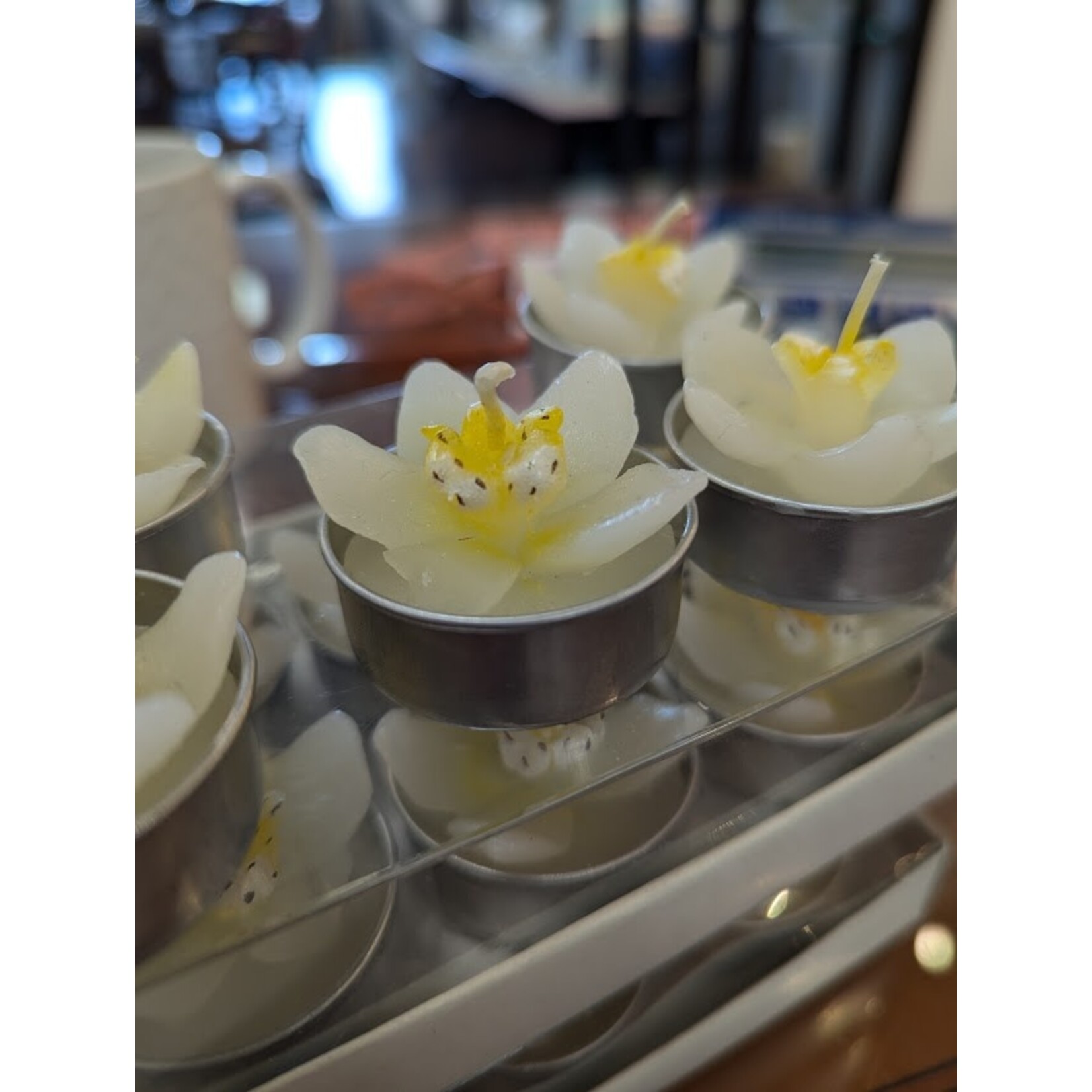 Roost White Orchid Tealight Candle