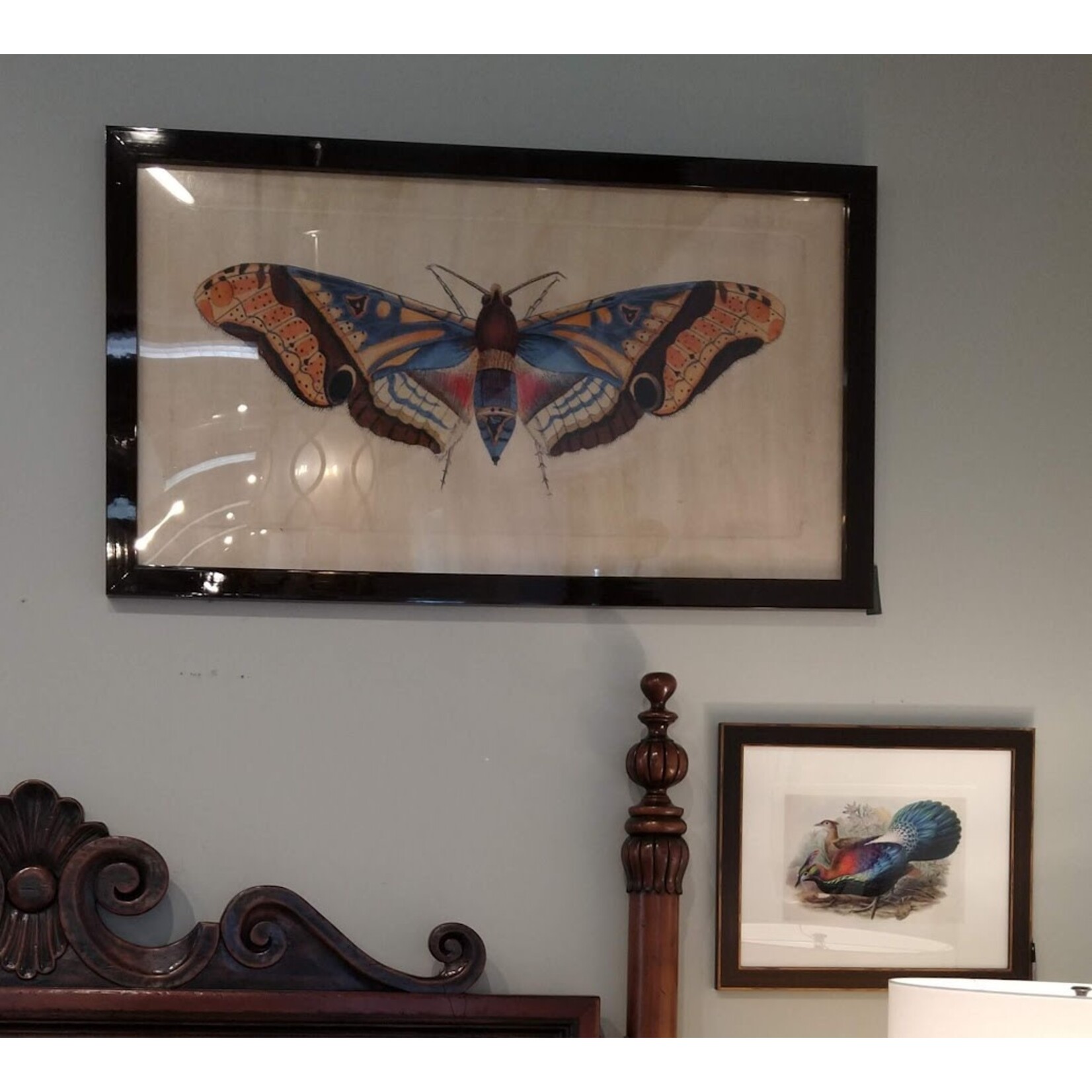 Wendover Art Group Grand Moth II Framed Artwork