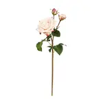 Winward Home Artificial Light Pink English Rose Sweet Juliet Stem 22"