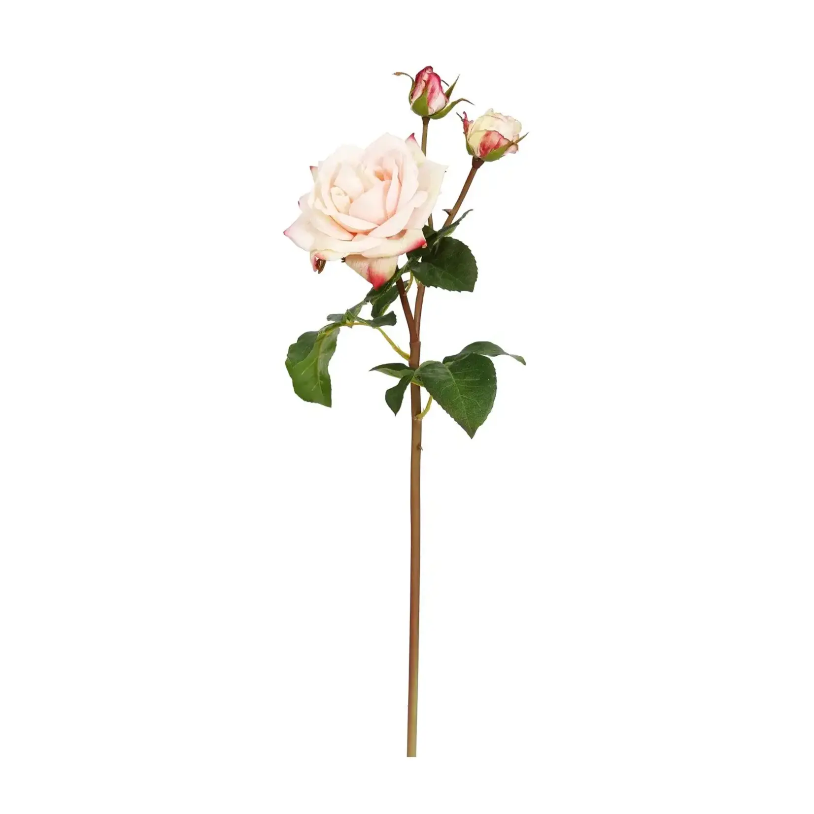 Winward Home Artificial Light Pink English Rose Sweet Juliet Stem 22"