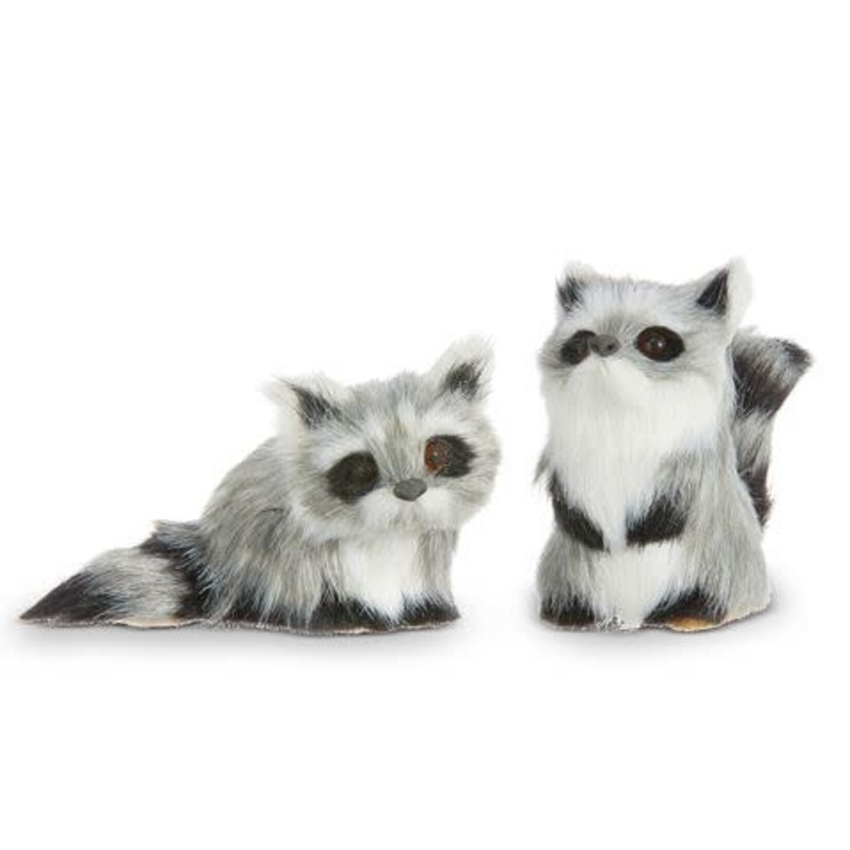 RAZ Imports Raccoon Ornament