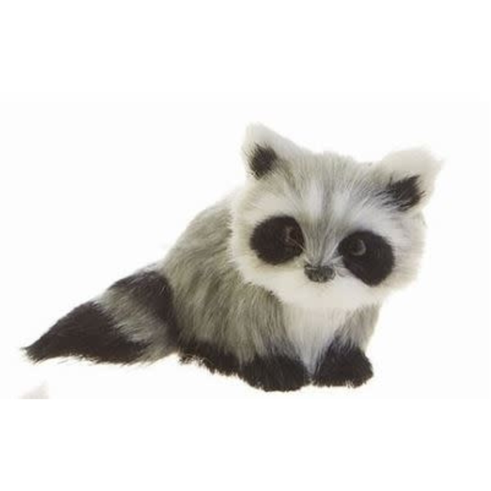 RAZ Imports Raccoon Ornament