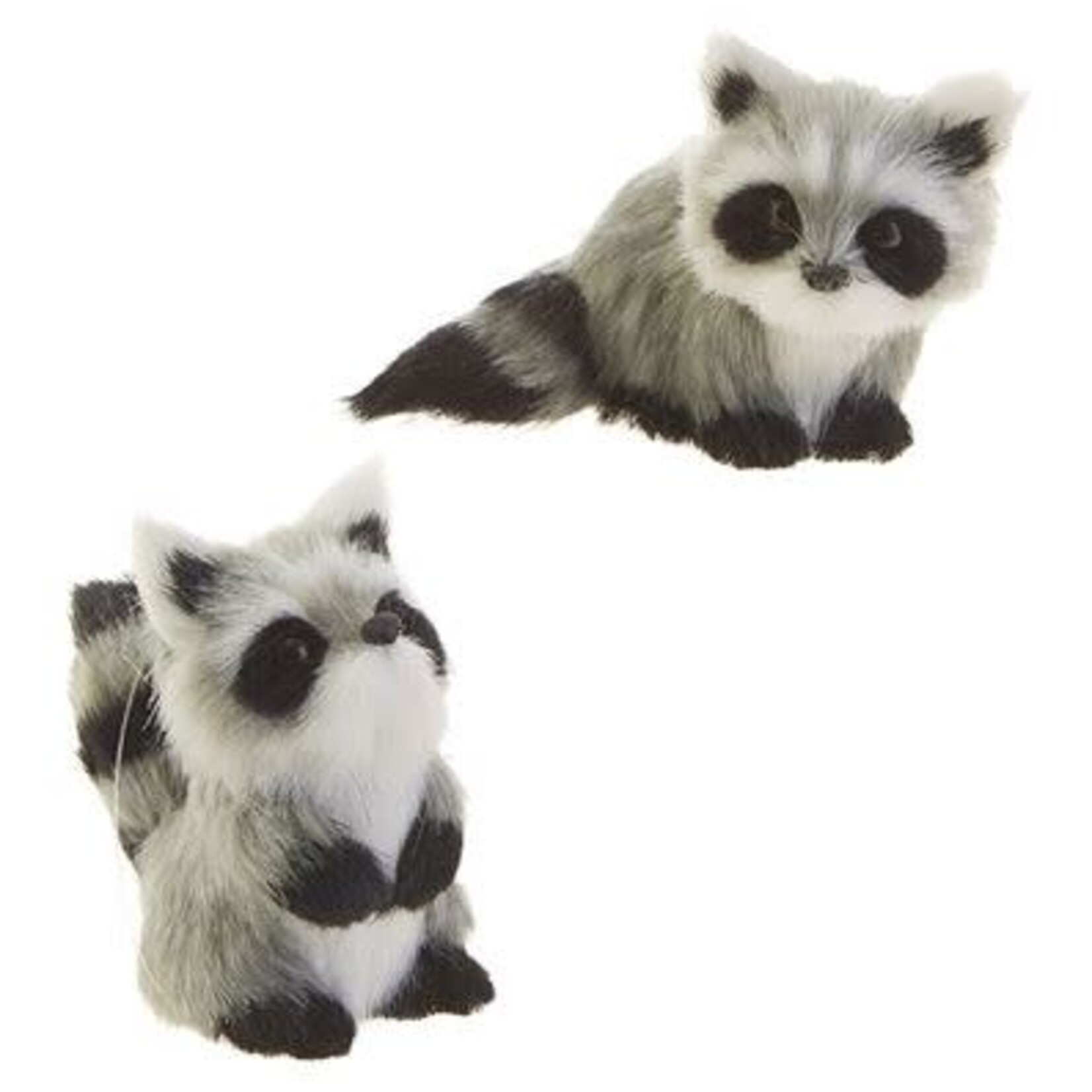 RAZ Imports Raccoon Ornament