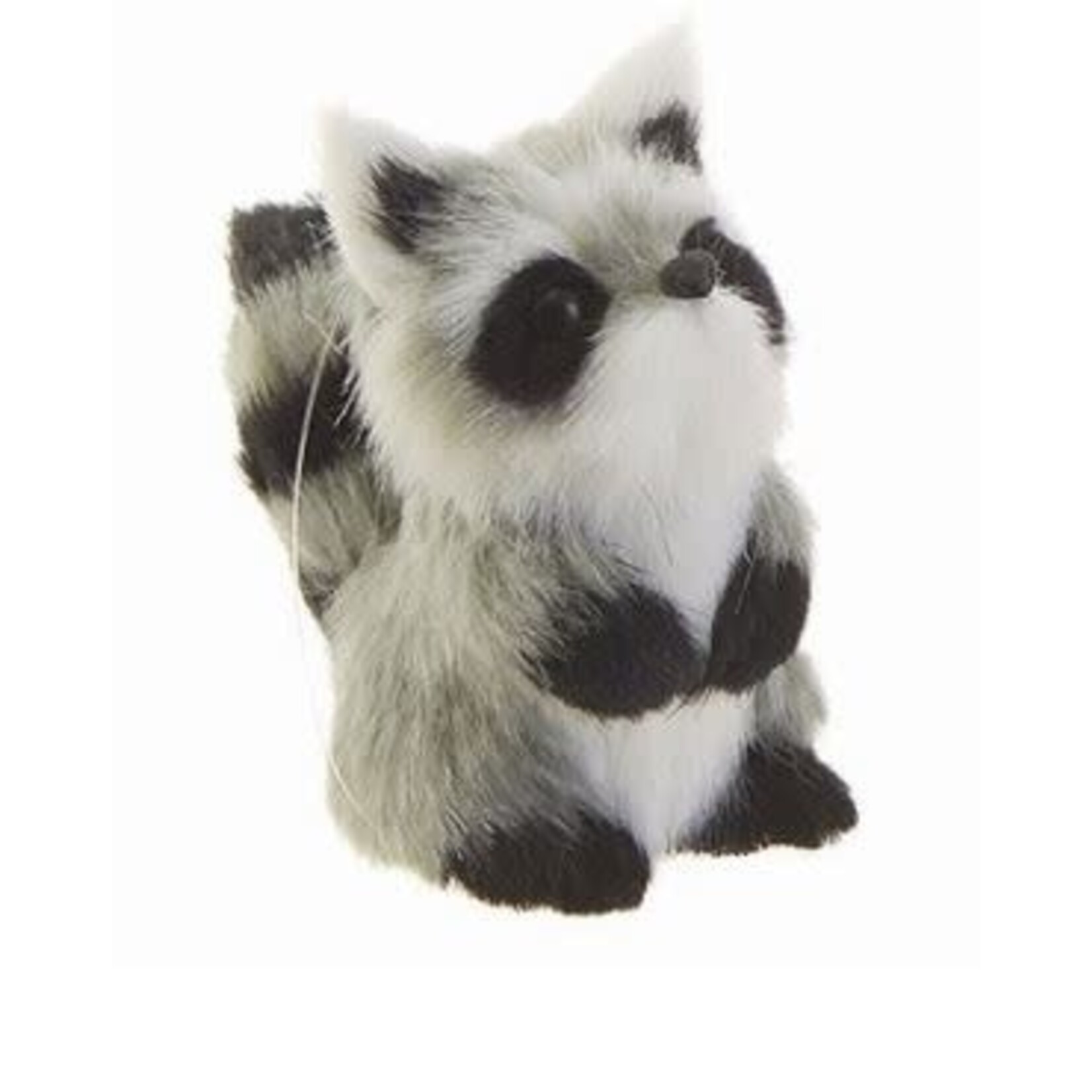 RAZ Imports Raccoon Ornament