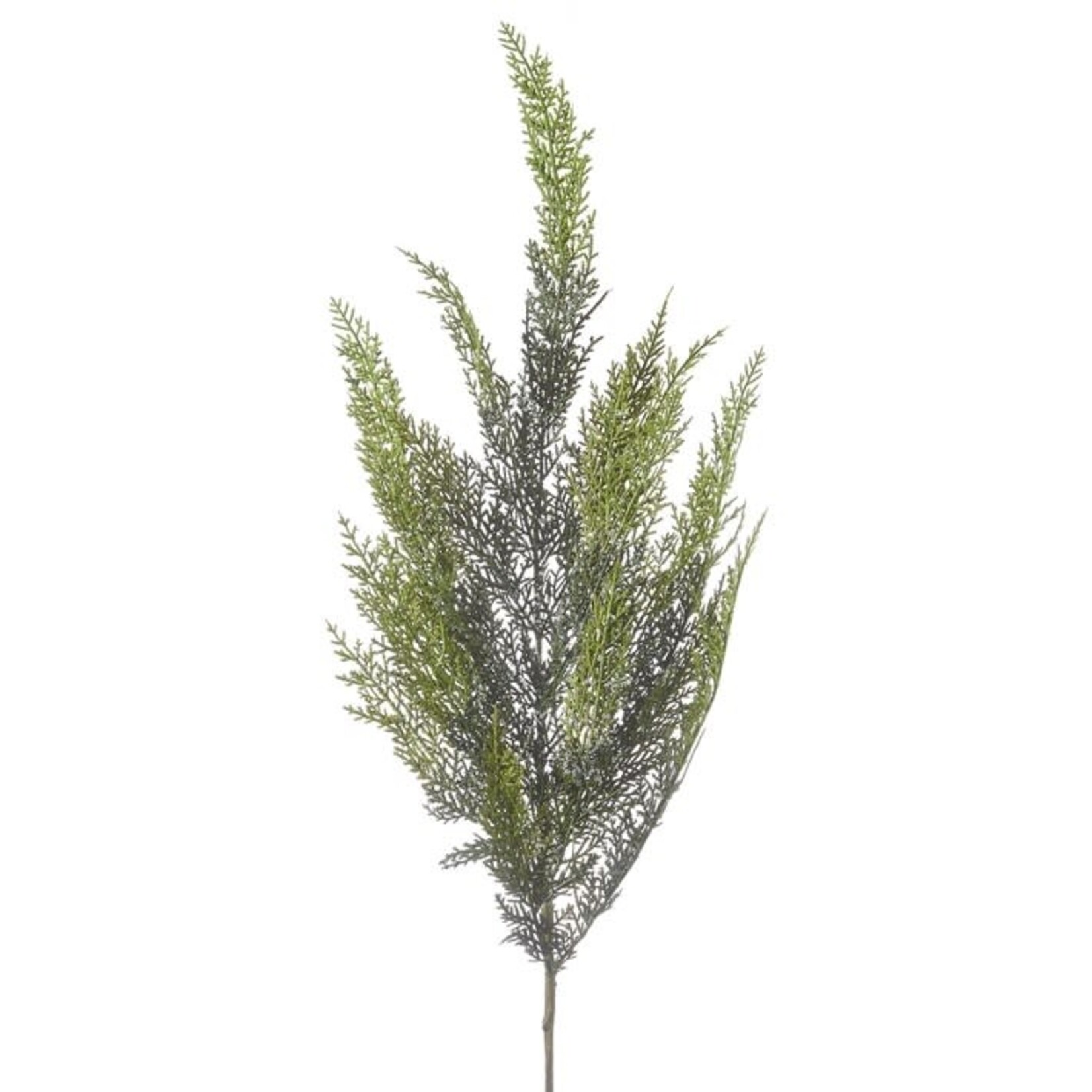 RAZ Imports Iced Cedar Spray 40"