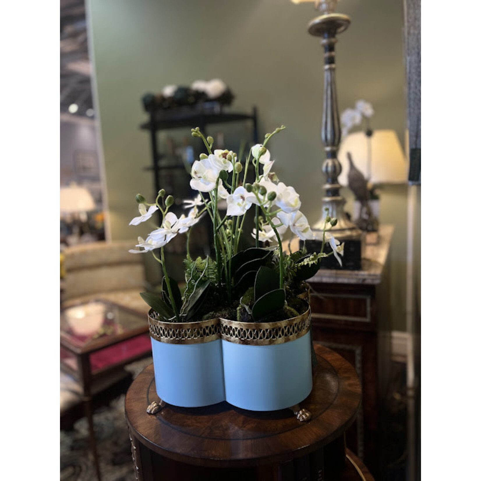 Designer's Studio White Orchid Cachepot Arrangement