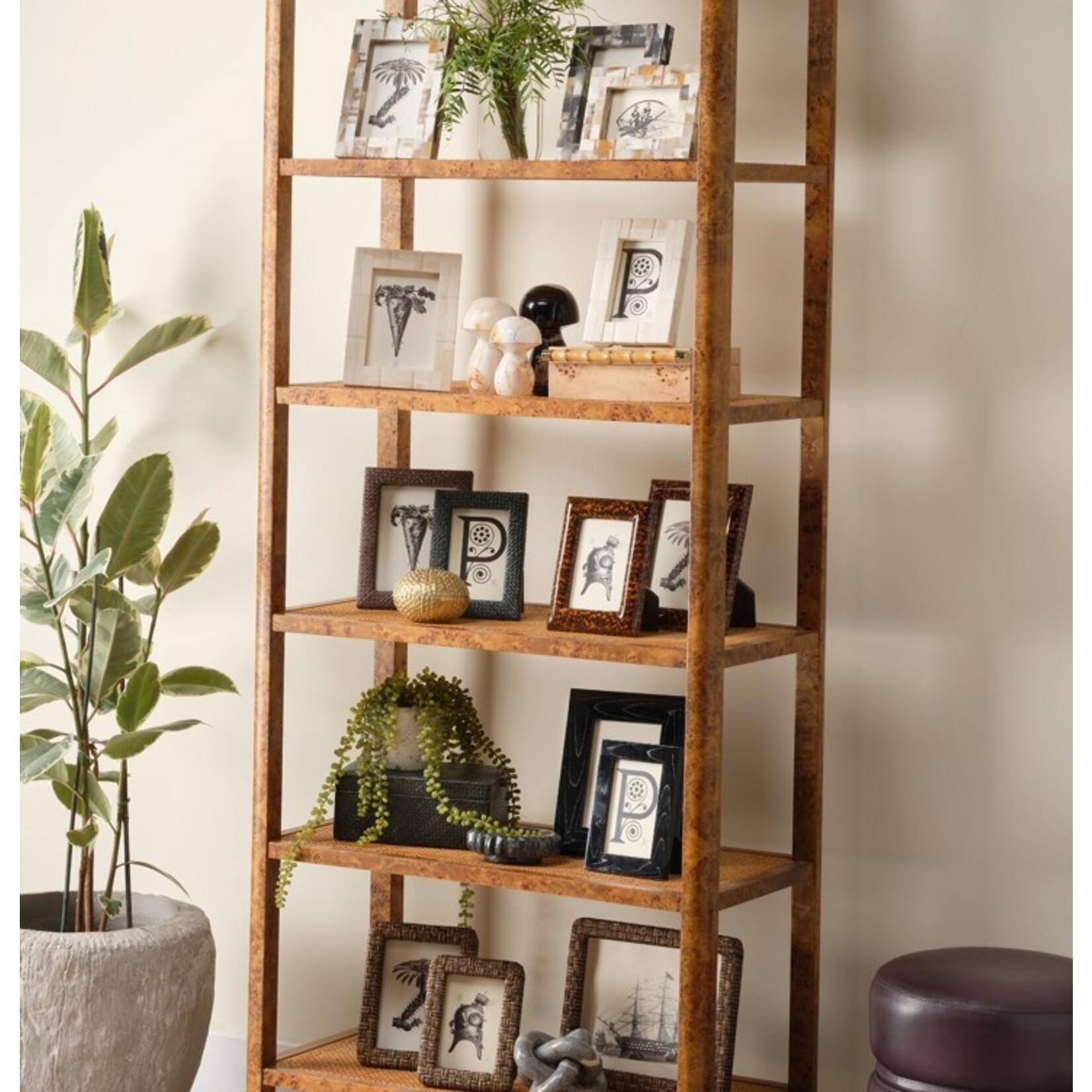 Pigeon and Poodle Kemi Photo Frames