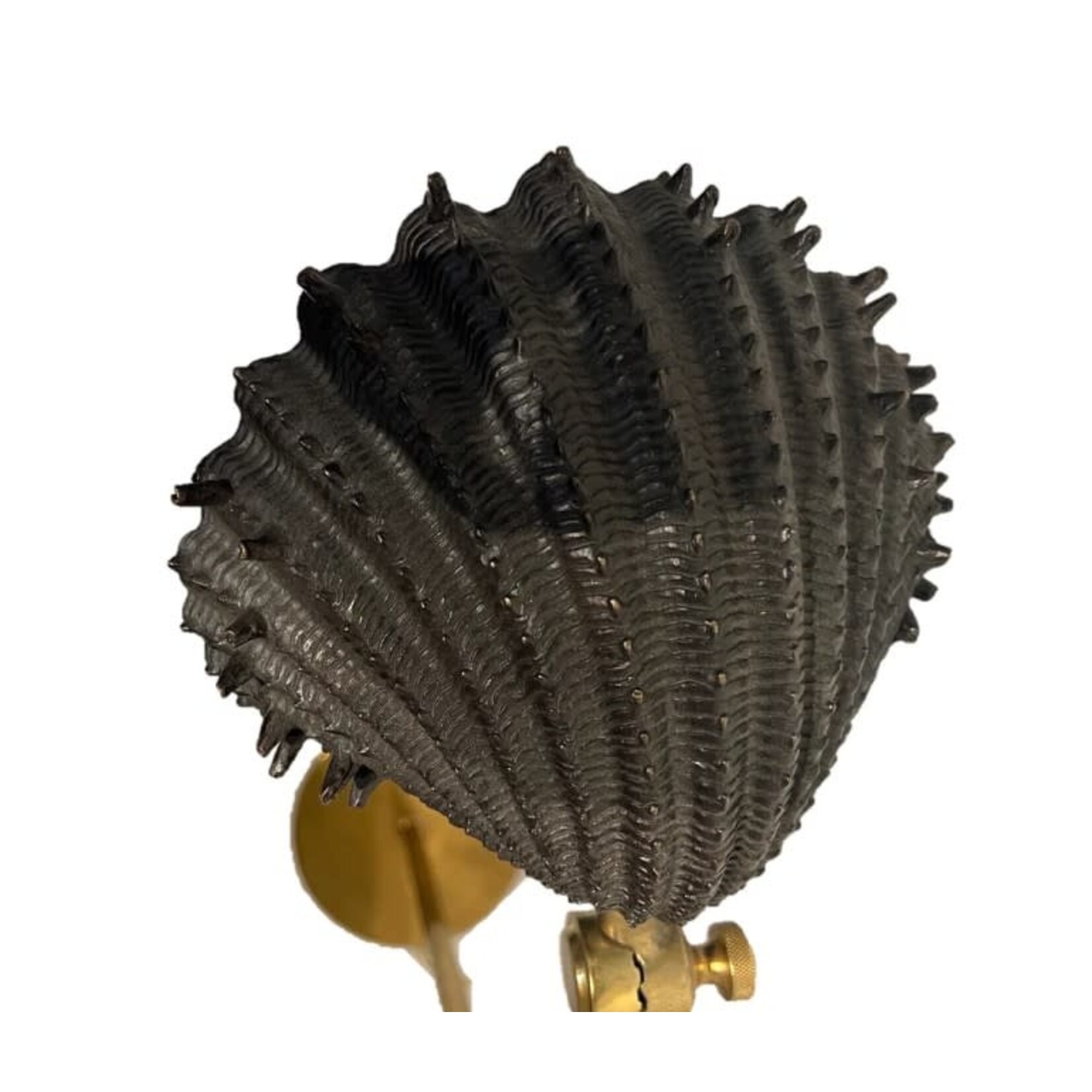Maitland Smith Brass Floor Lamp Black Shell