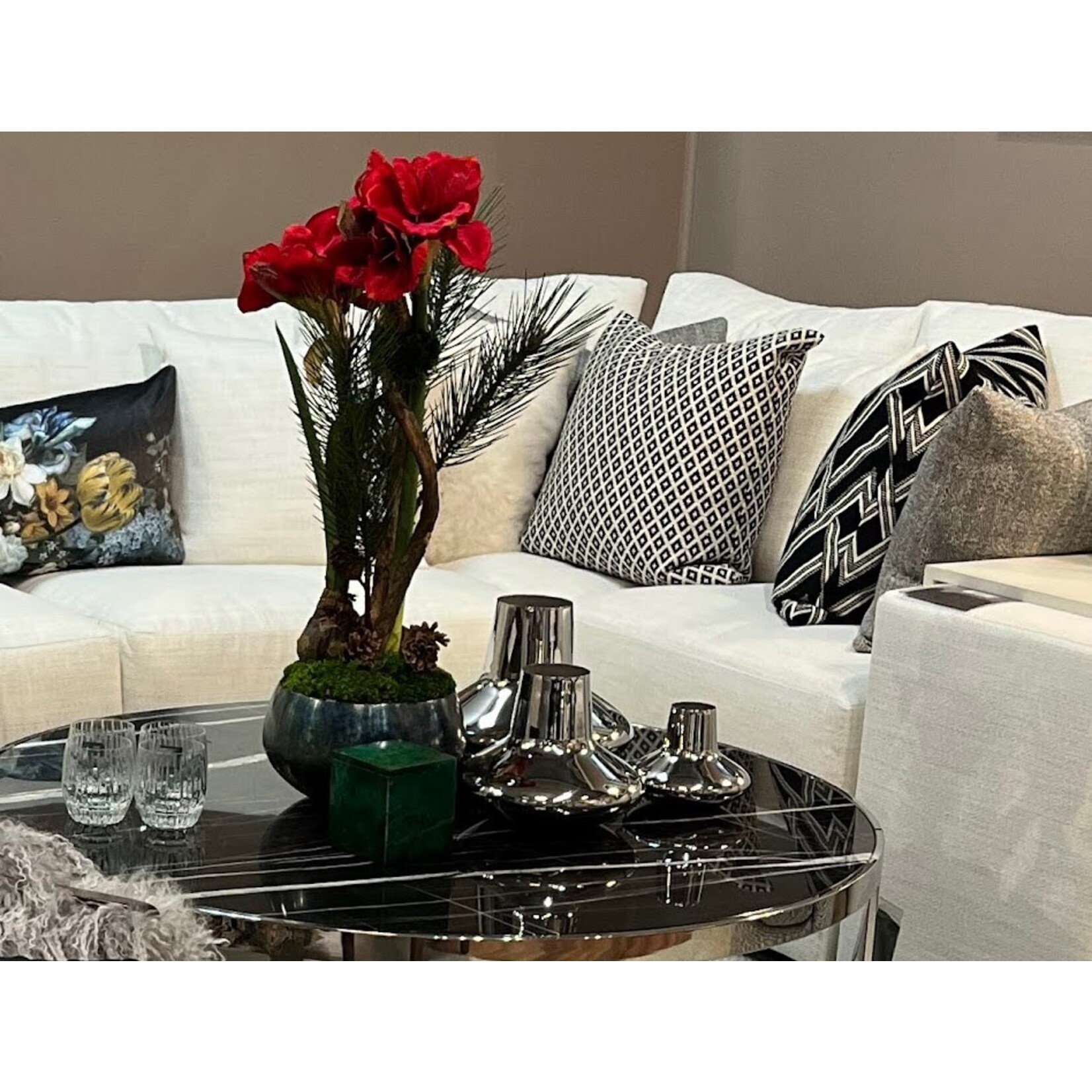 The Ivy Guild Red Amaryllis Arrangement in Sosa Bowl
