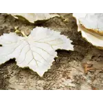 Michael Aram Winter Leaves Grape Leaf Dish