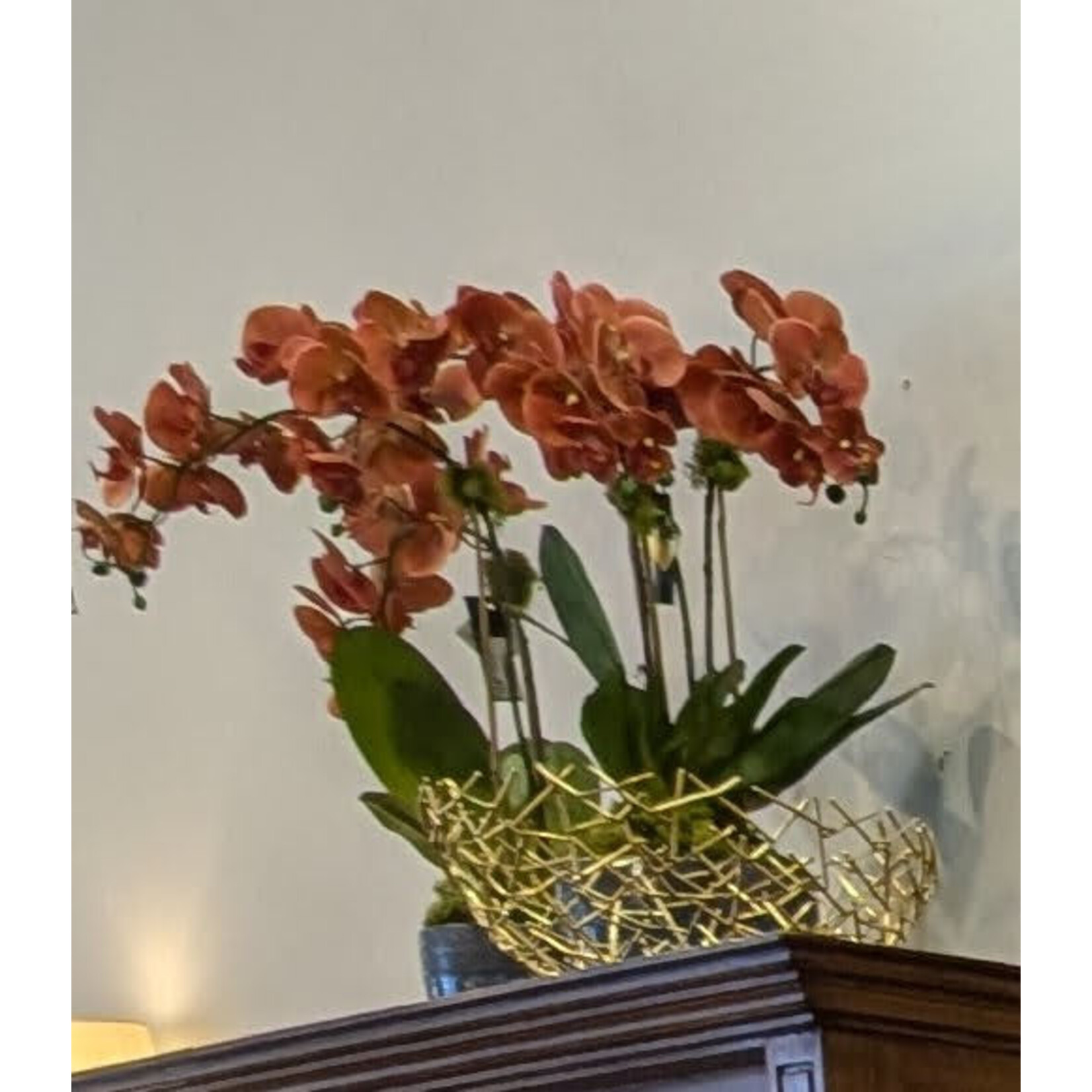 The Ivy Guild Coral Orchids Faux Floral Arrangement - Large