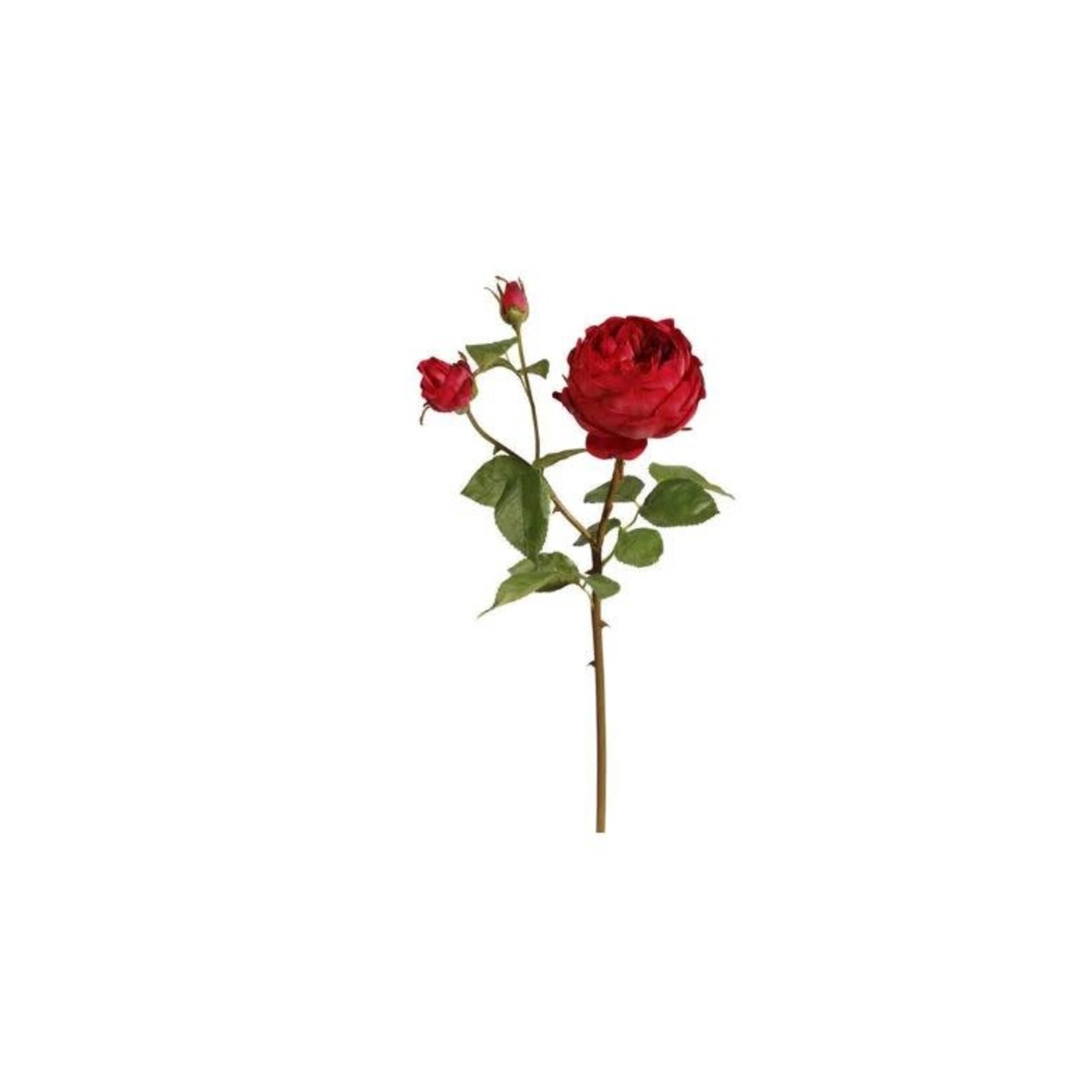 Winward Floral & Seasonal Decor Artificial Red English Rose Biancax3 Stem 21"