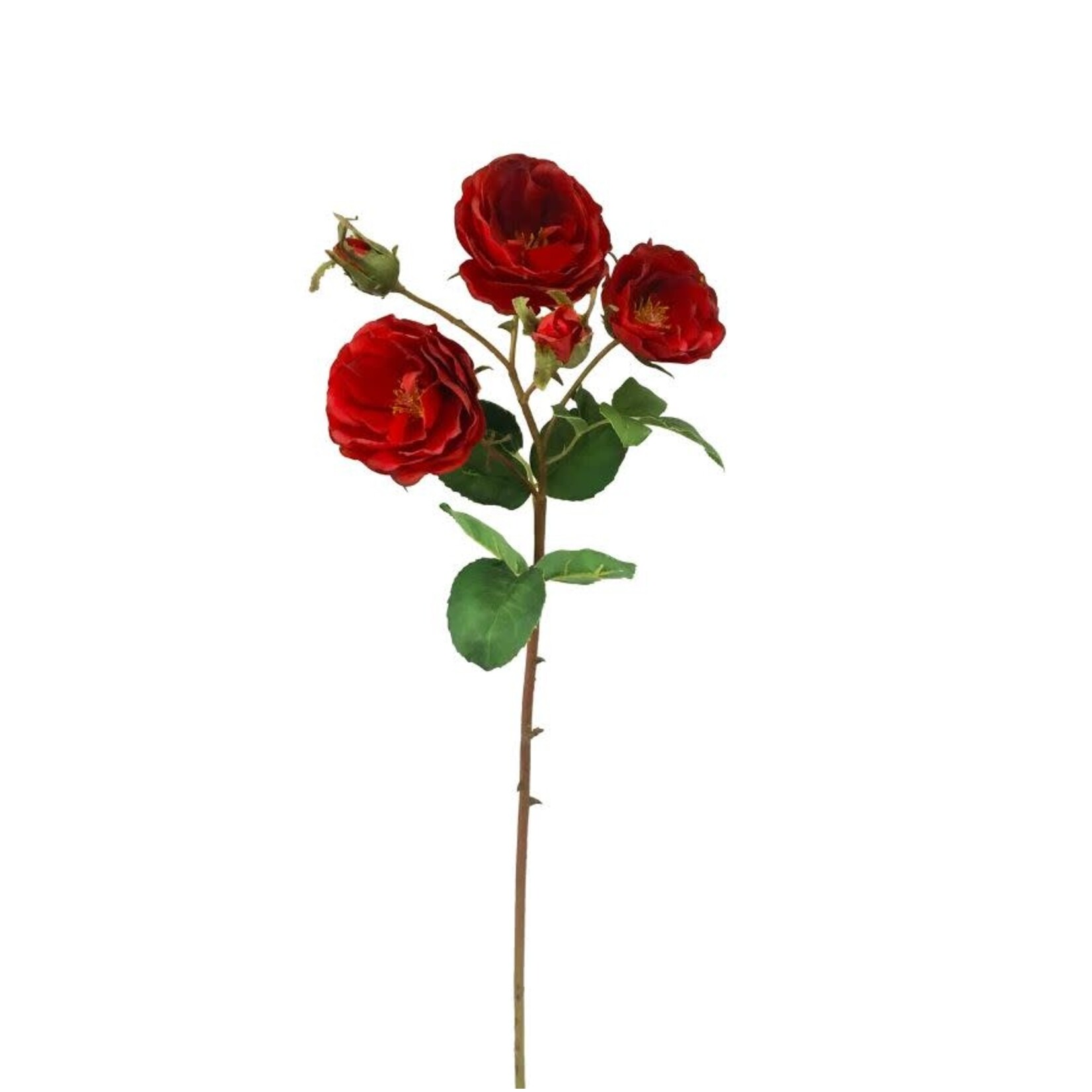 Winward Floral & Seasonal Decor Artificial Red English Canterbury Rose Stem 21"