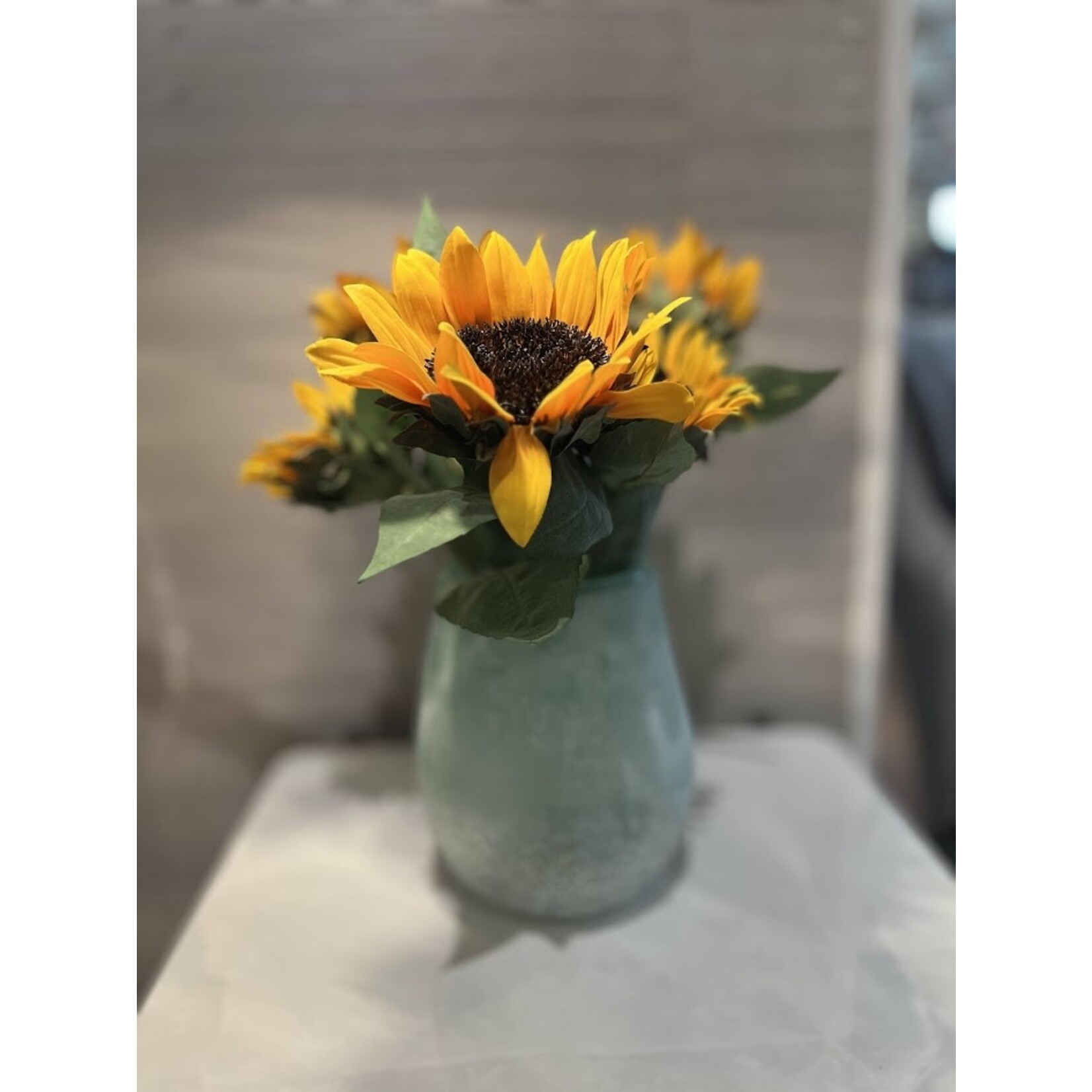 Napa Home and Garden Sunflower Cuttings Bundle of 2
