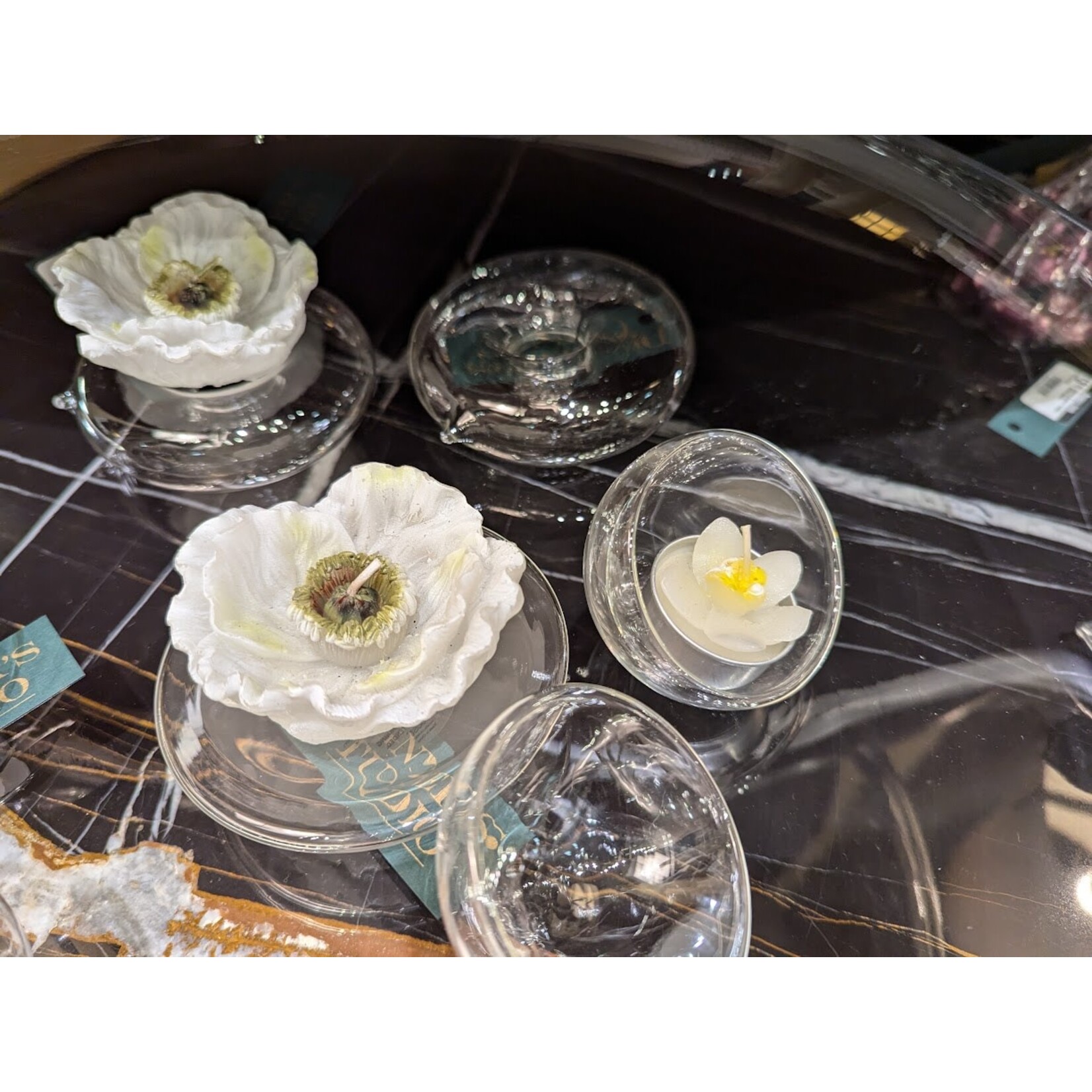 Wildwood Floating Glass Disc
