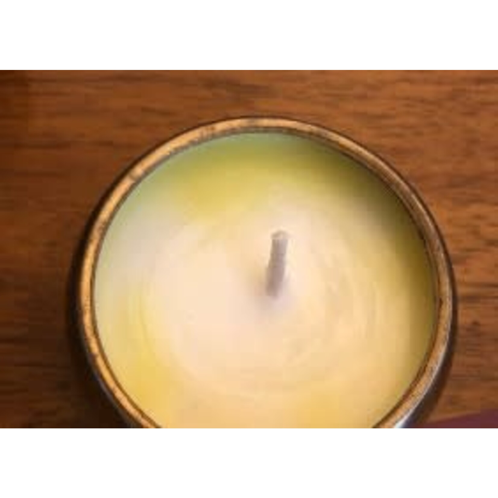 Illume Holding Co Winter Mint Metal Candle Ornament