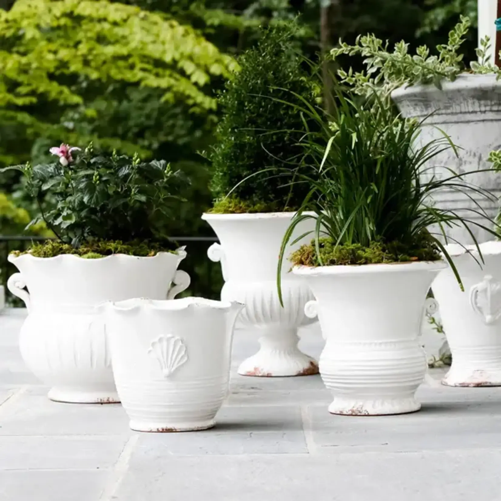 Vietri Rustic Garden White Medium Handled Cachepot