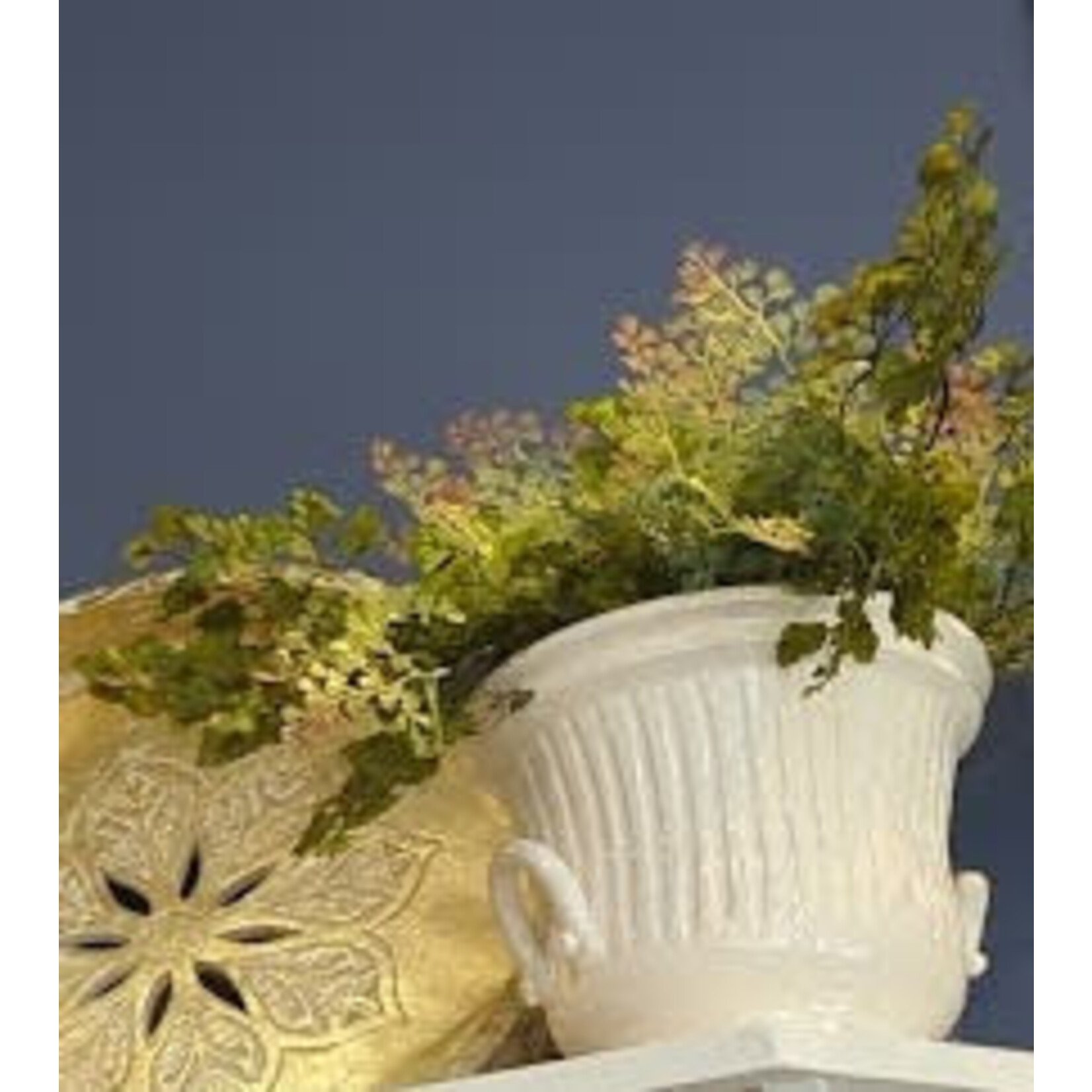 Vietri Rustic Garden White Handled Terracotta Cachepot - Medium 9" x 9"