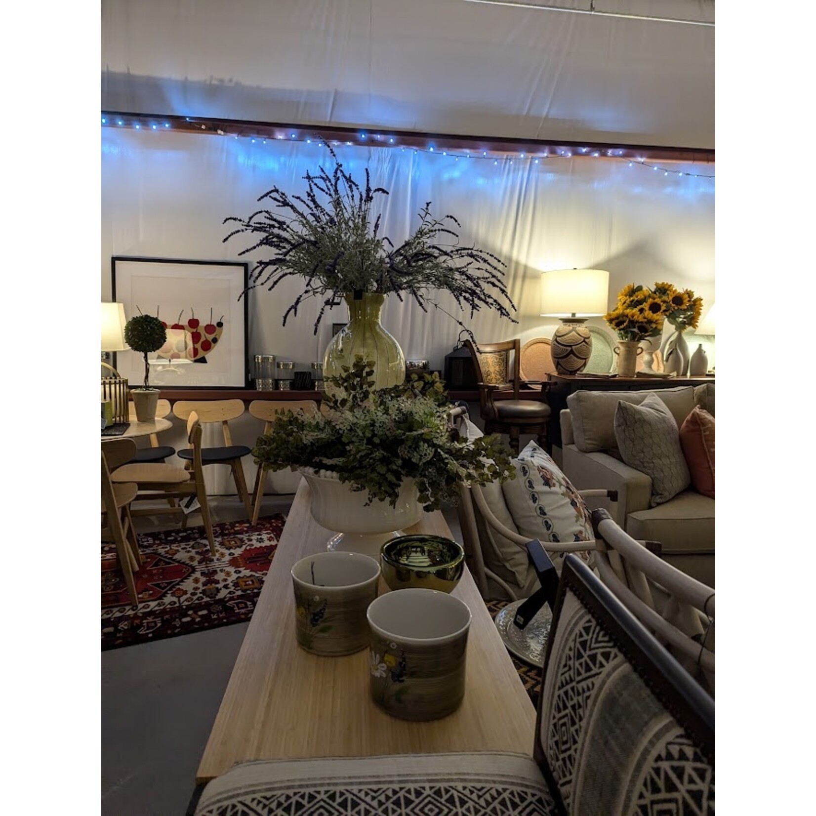 Napa Home and Garden Topiary in Small Pot Boxwood Preserved