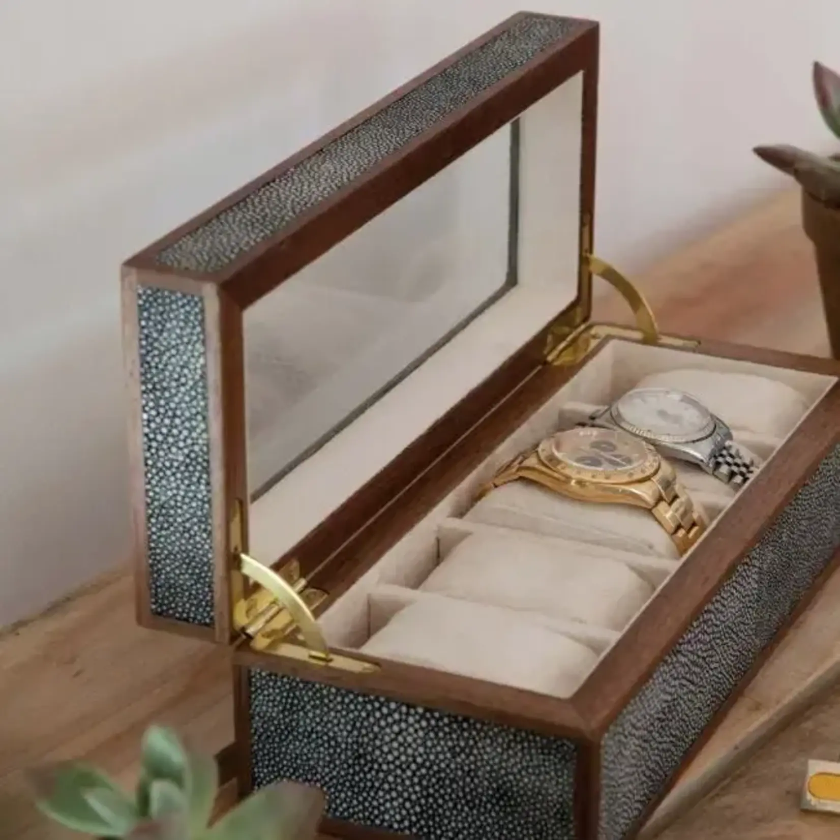 Pigeon and Poodle Elmbridge Cool Gray 5 Watch Box Faux Shagreen Glass