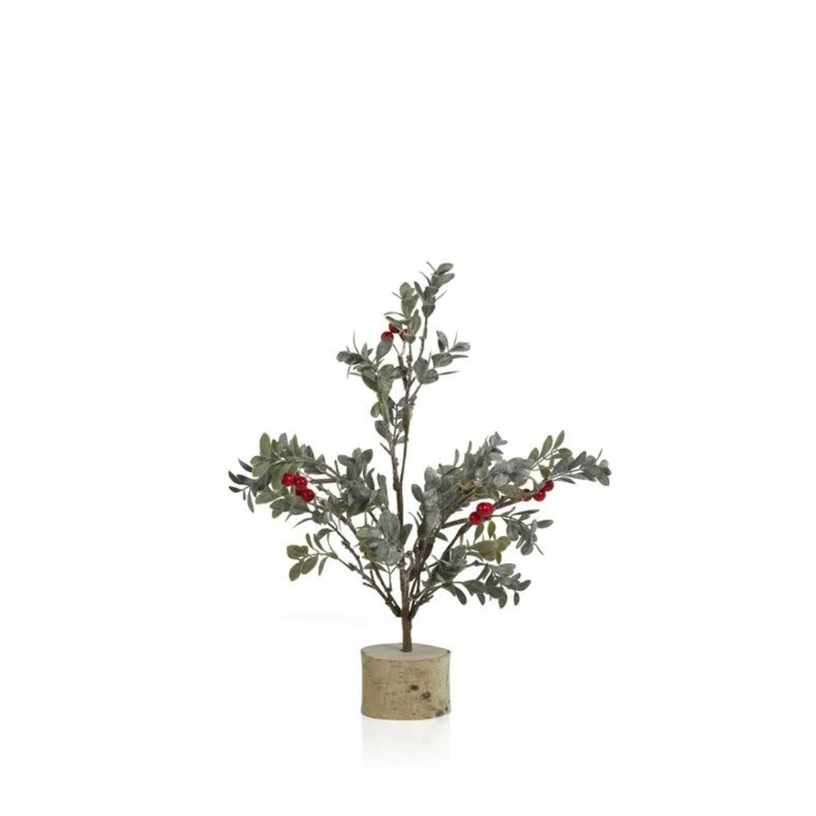Zodax Frosted Mistletoe Tree with Red Berries on Birch Base Small