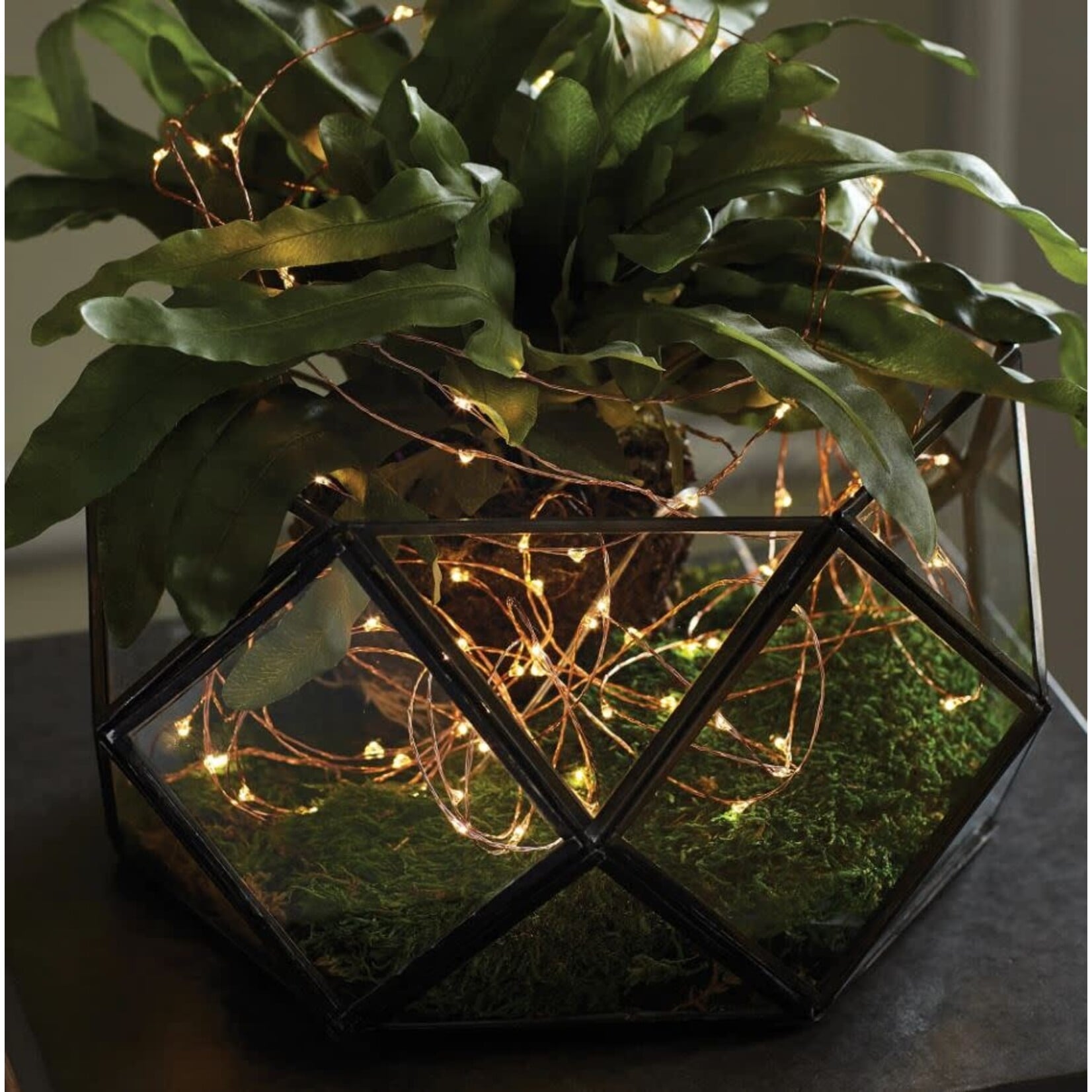 Napa Home and Garden Napa Night Sky LED Copper Wire String Lights 25'
