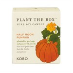 Kobo Half Moon Pumpkin Plant The Box 9 oz Candle