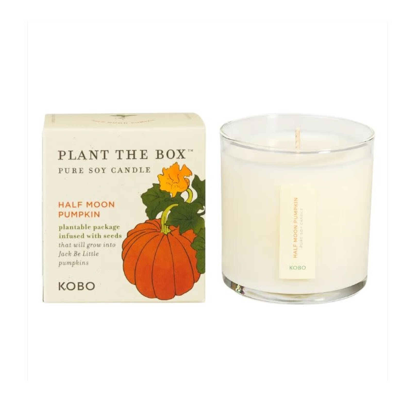 Kobo Half Moon Pumpkin Plant The Box 9 oz Candle