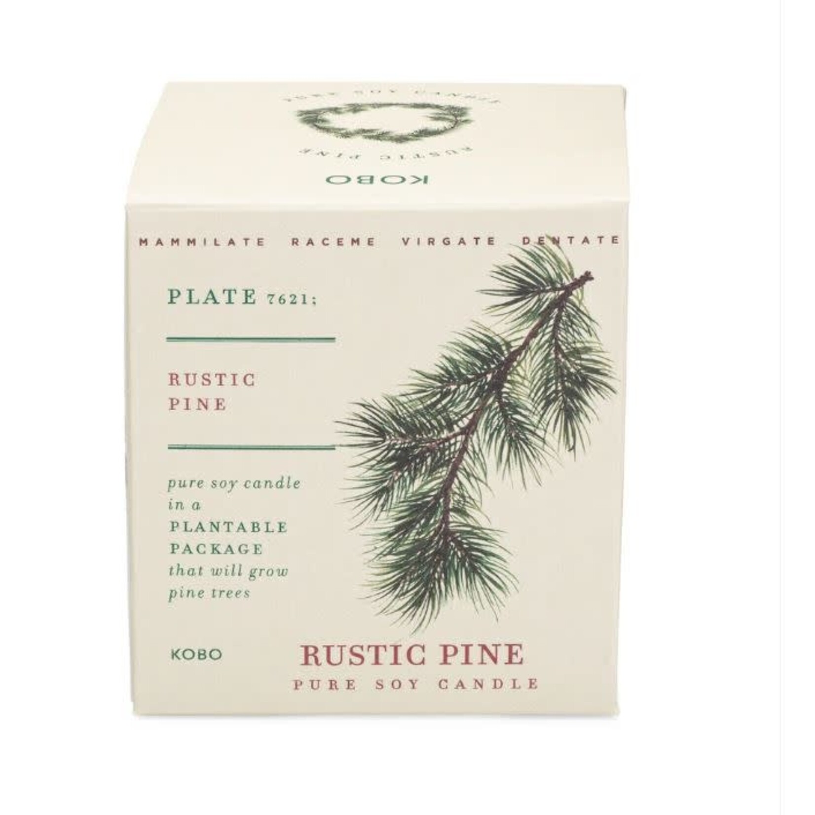 Kobo Rustic Pine Plant The Box Candle