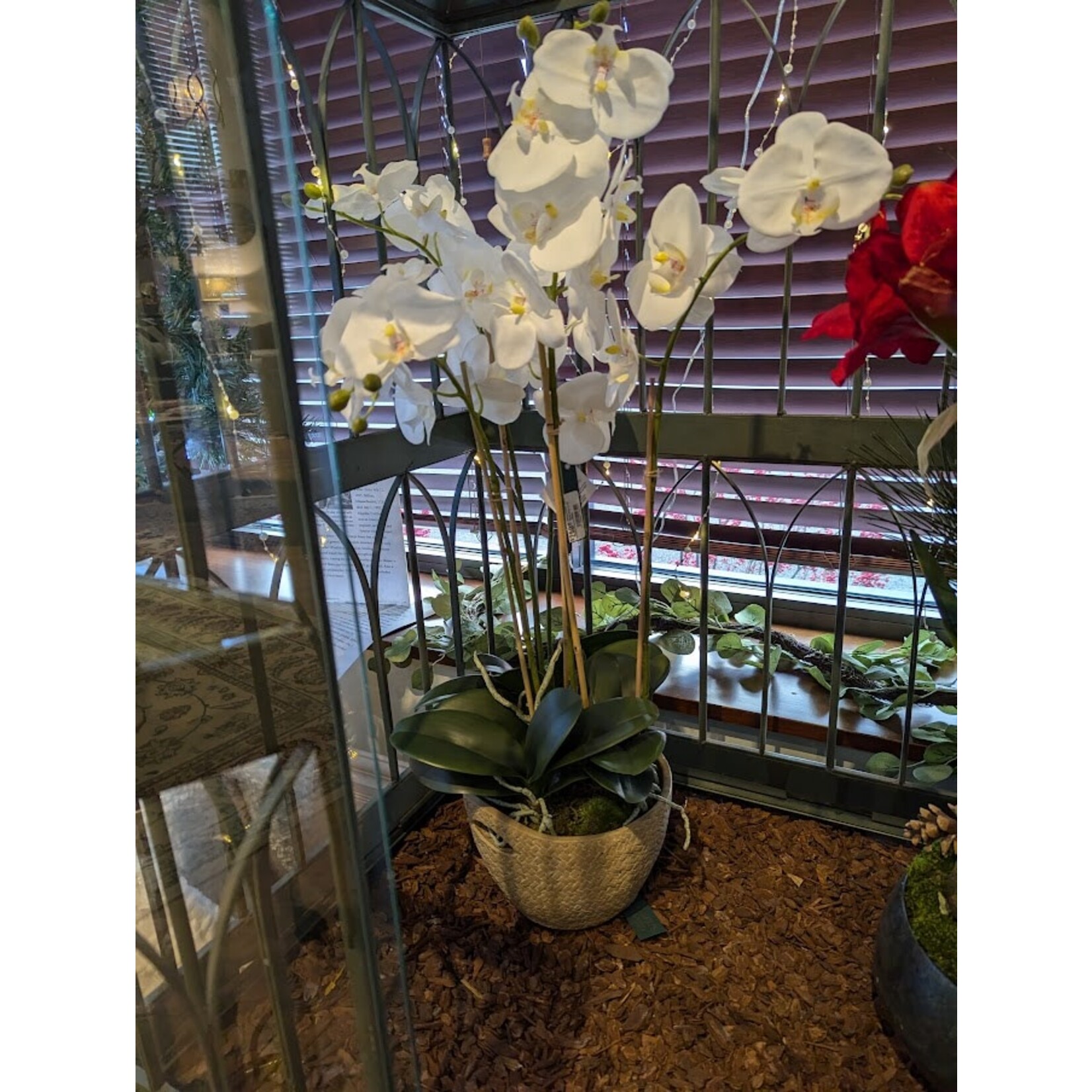 Napa Home and Garden Phalaenopsis Orchid Ball Drop in 25" White