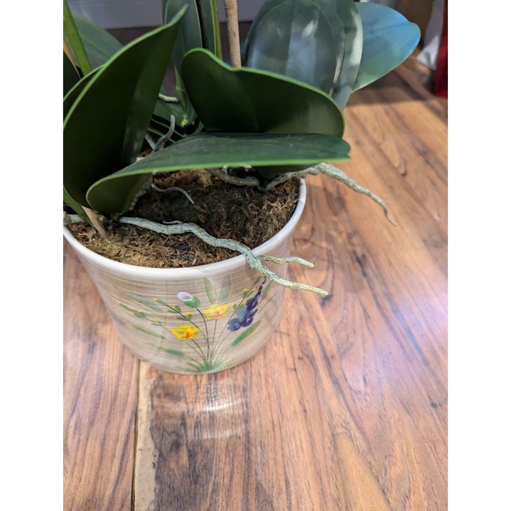 Carole Stupell LTD Ernestine Virden Cannon Mercer Cache Pot Set of 2