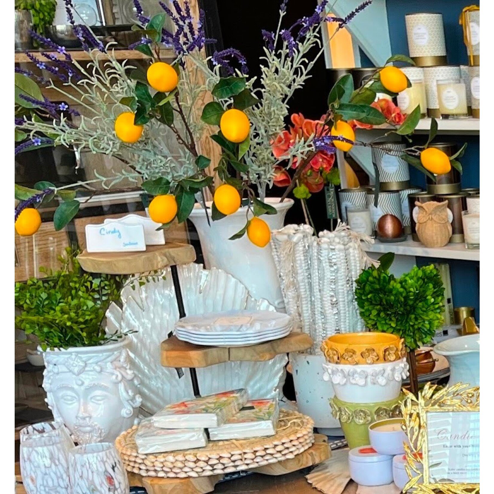 Two's Company Pandan & Seashells Placemat Set of 4