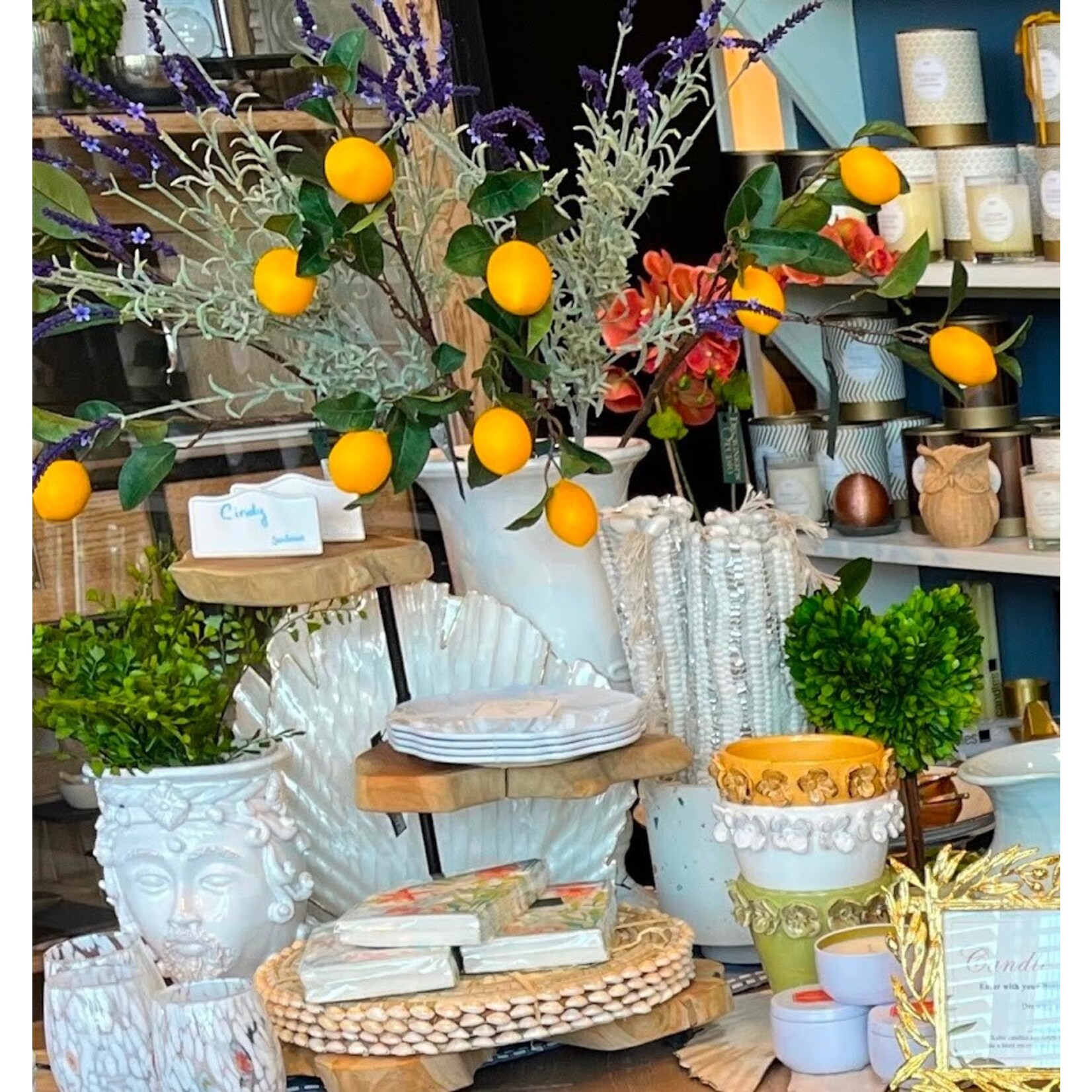 Two's Company Pandan & Seashells Woven Placemat Set of 4