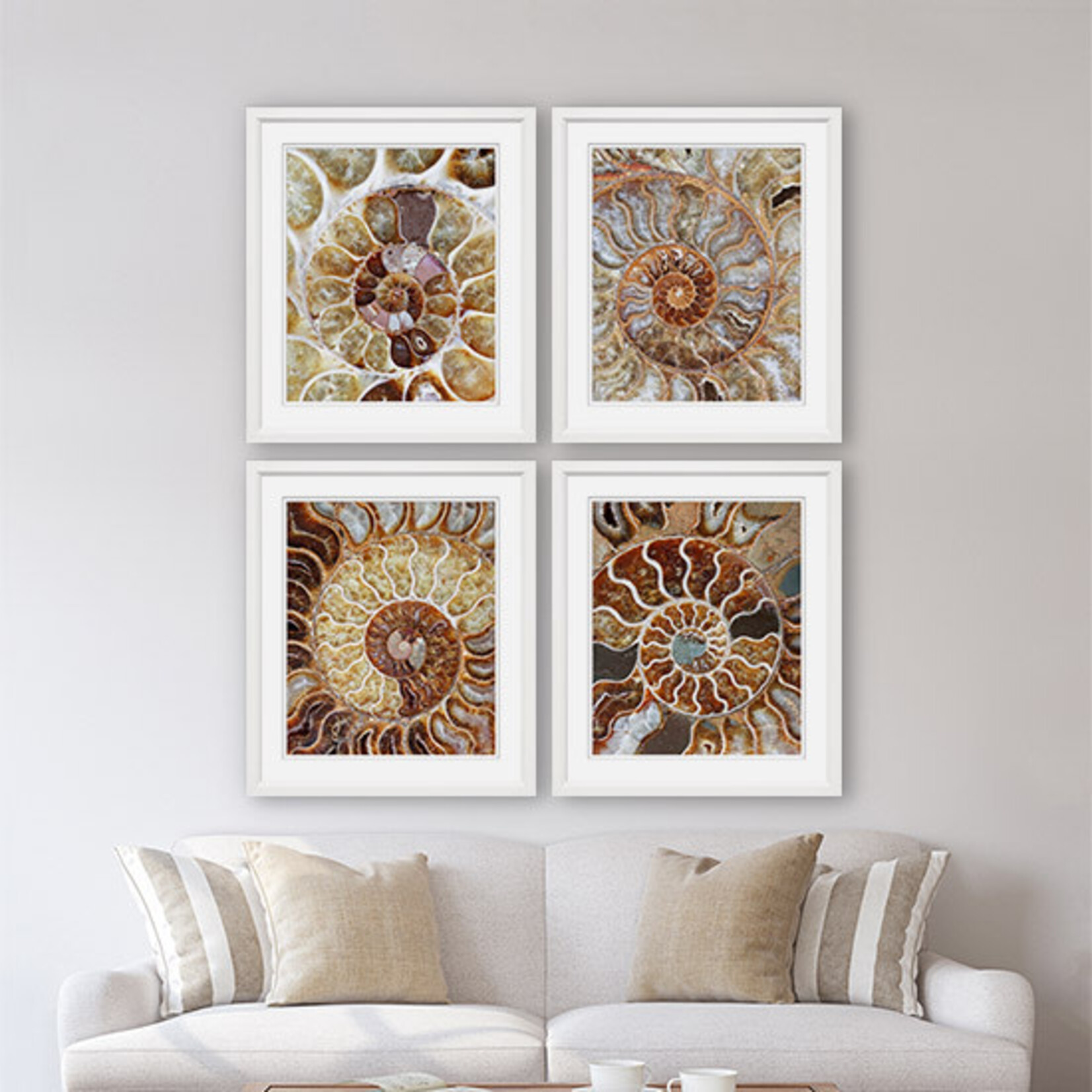 Trowbridge Gallery Ammonite Collection Framed Artwork