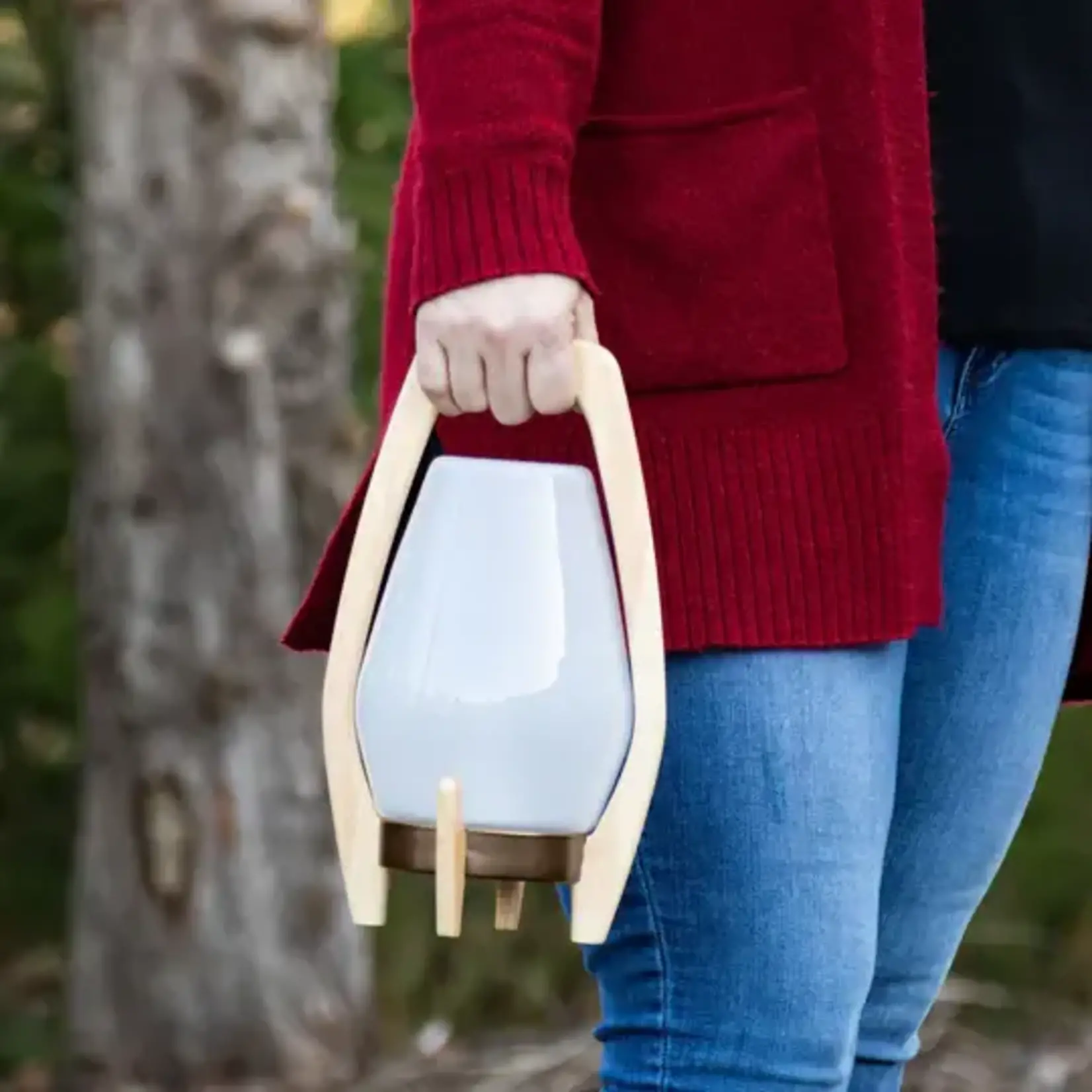 Allsop Home Garden Drifter Lantern Portable LED Lamp with Wood Frame