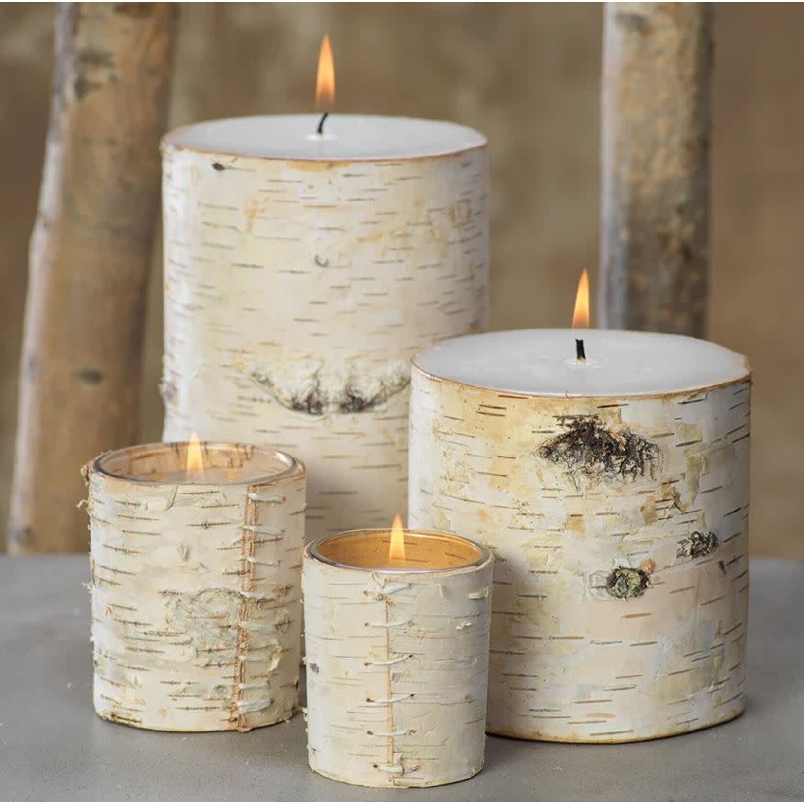 Zodax Birchwood Fragrance Free Pillar Candle