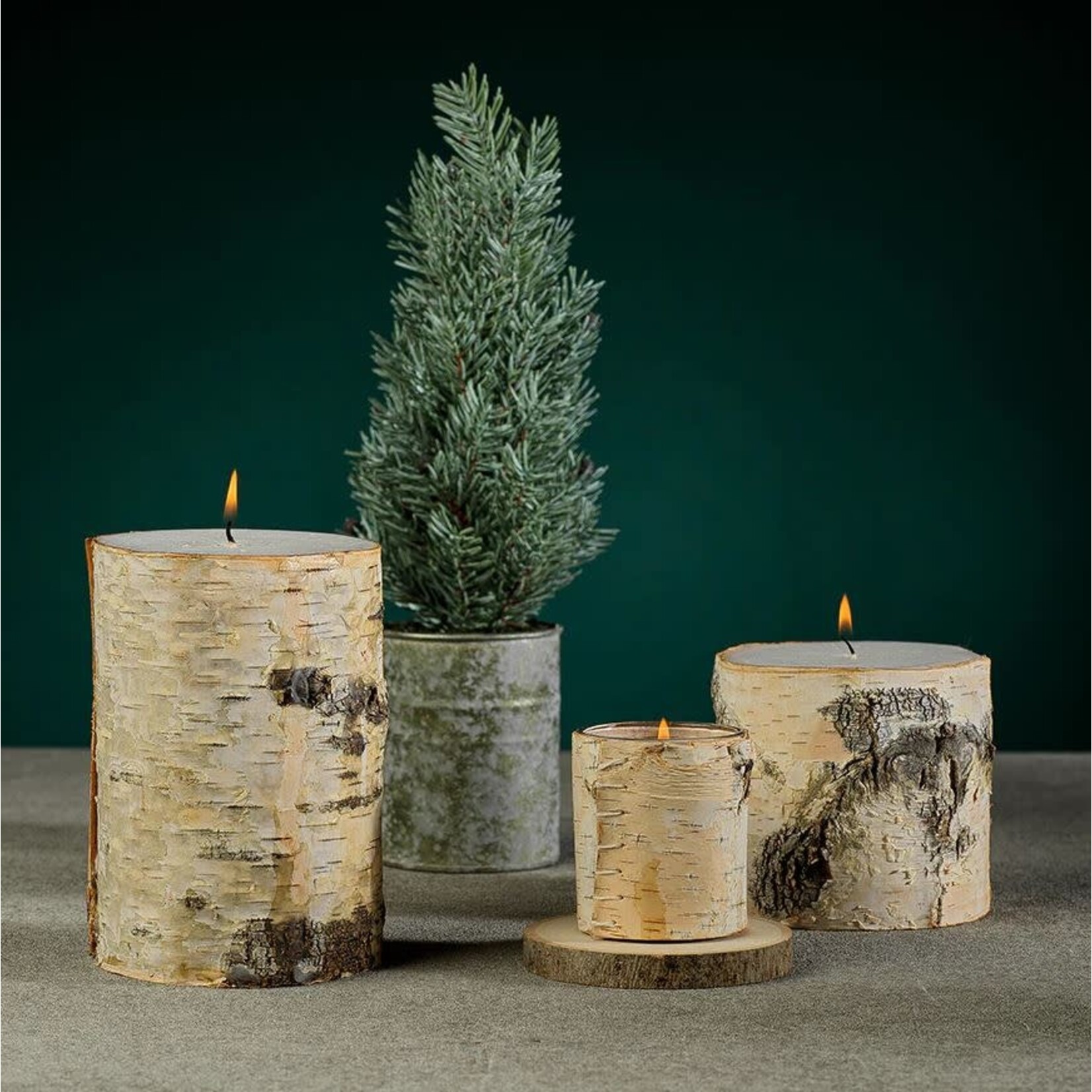 Zodax Birchwood Fragrance Free Pillar Candle