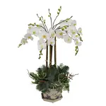 Winward Floral & Seasonal Decor Artificial White Orchid with Holly Pick in Cache Pot