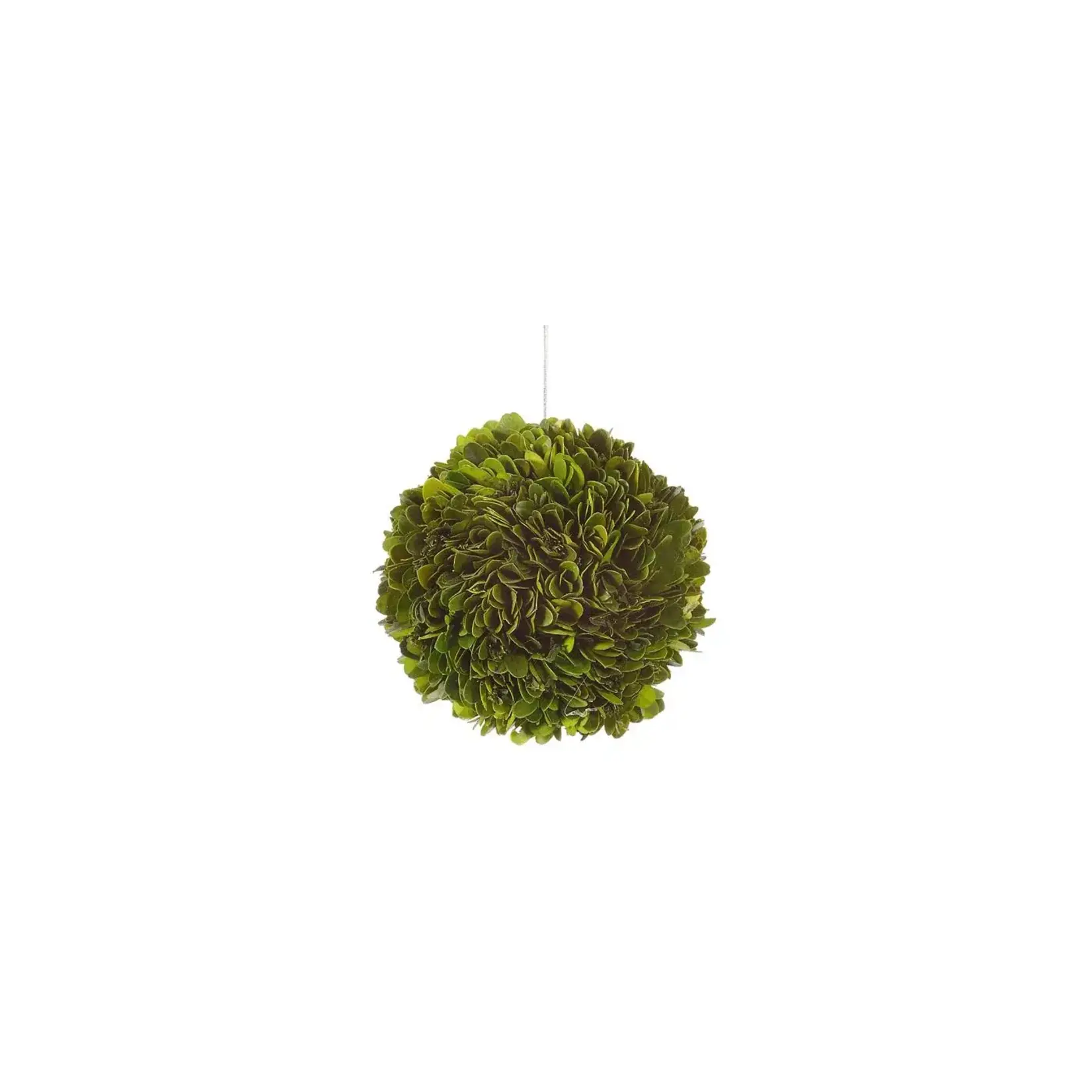 Winward Floral & Seasonal Decor Perserved Boxwood Ball 5"