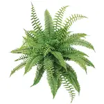 Winward Floral & Seasonal Decor Artificial Staged Boston Fern 28"