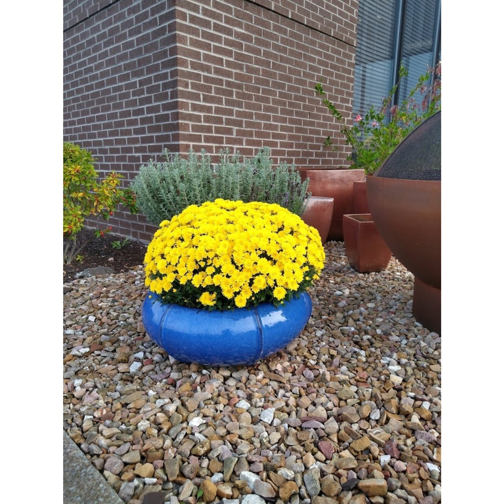 Campania Rib Vault Riviera Blue Low Glazed Planter - Small 21.25″ x 8.75″