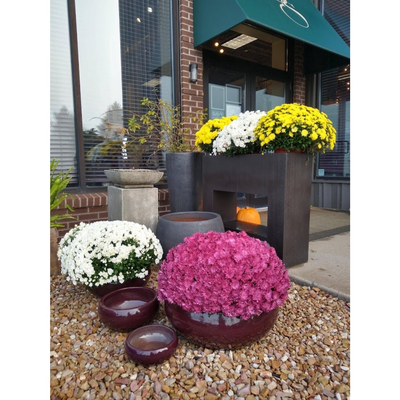 Campania Sasha Plum Burgundy Glazed Terracotta Planter